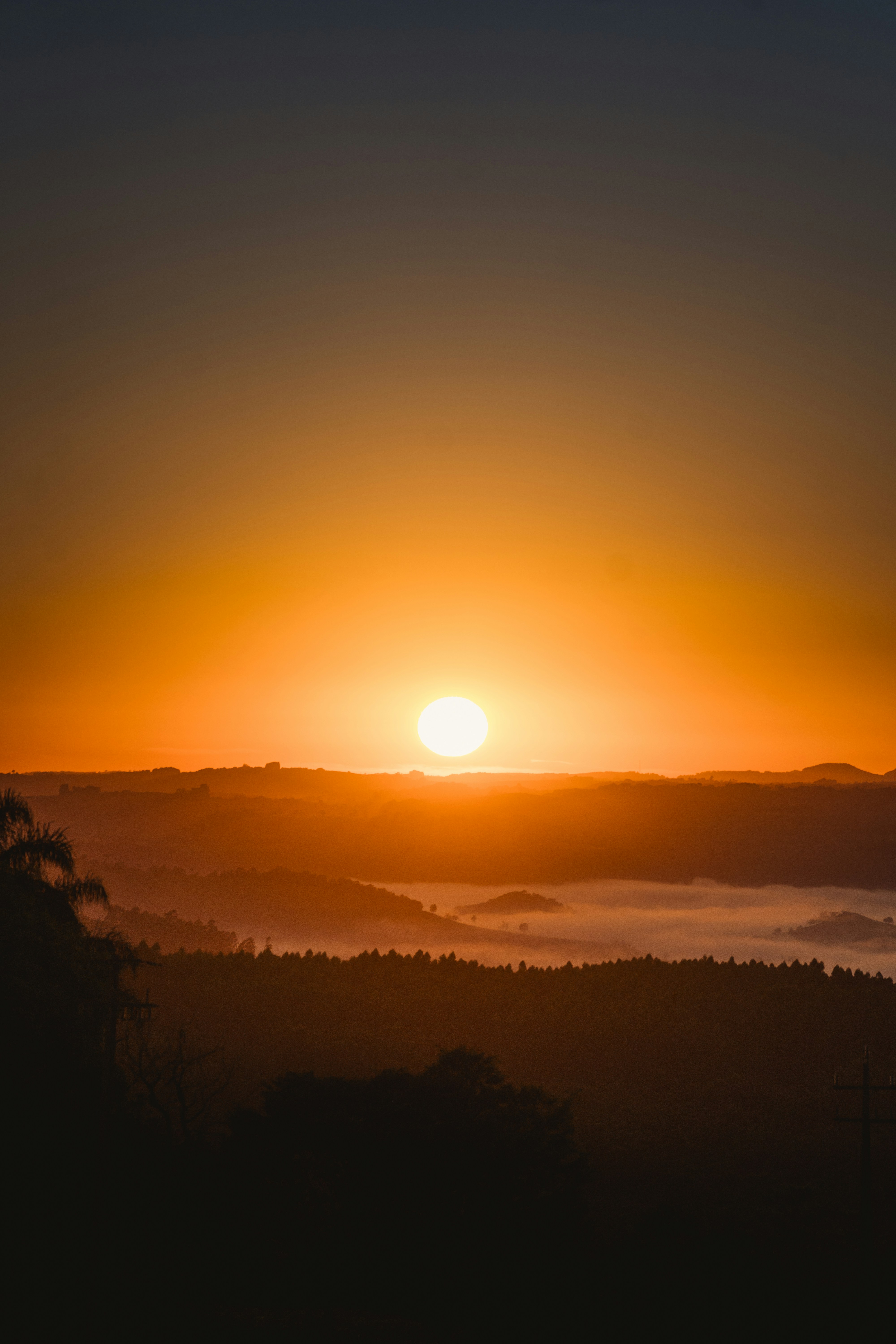 Photo by rogernobles