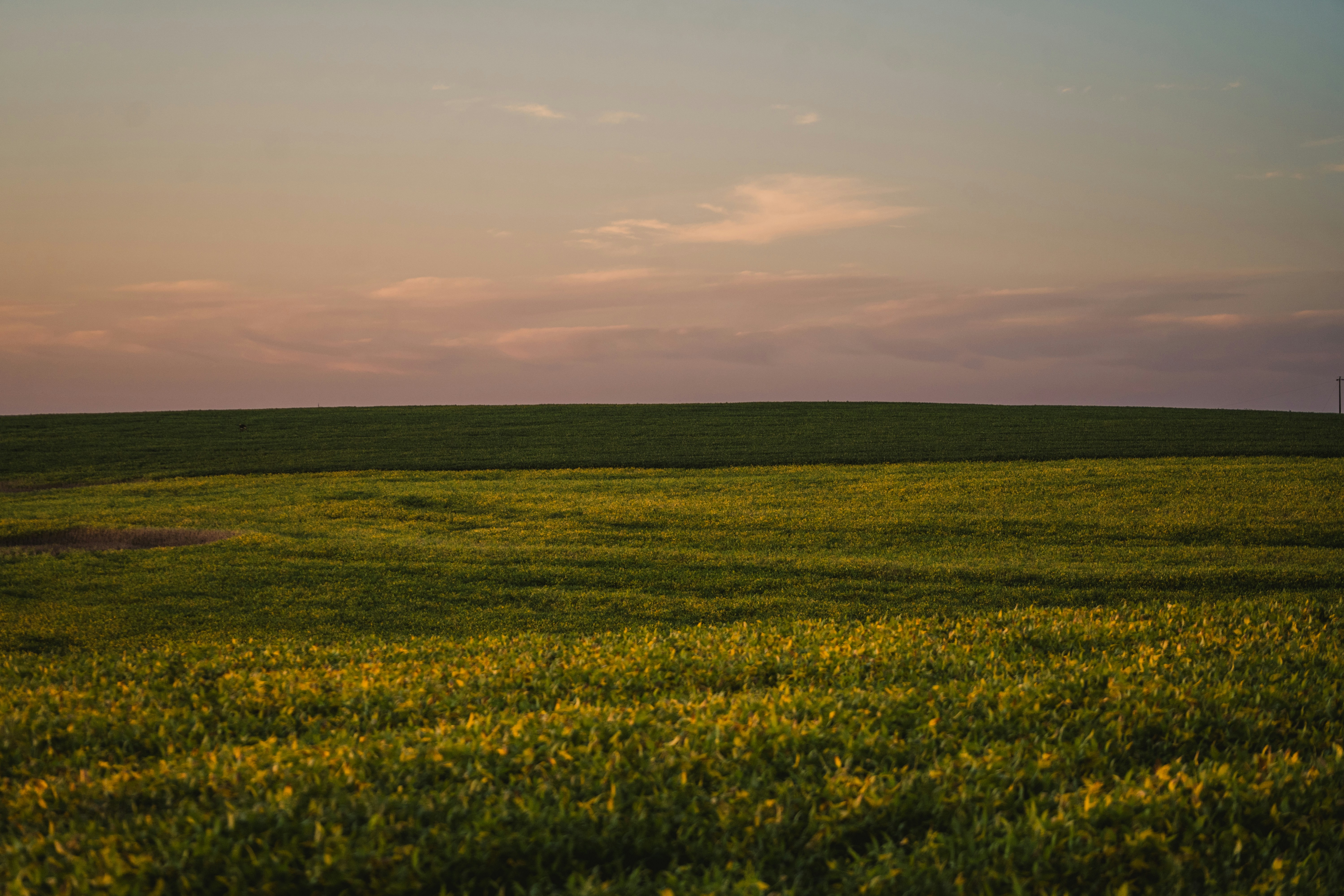 Photo by rogernobles