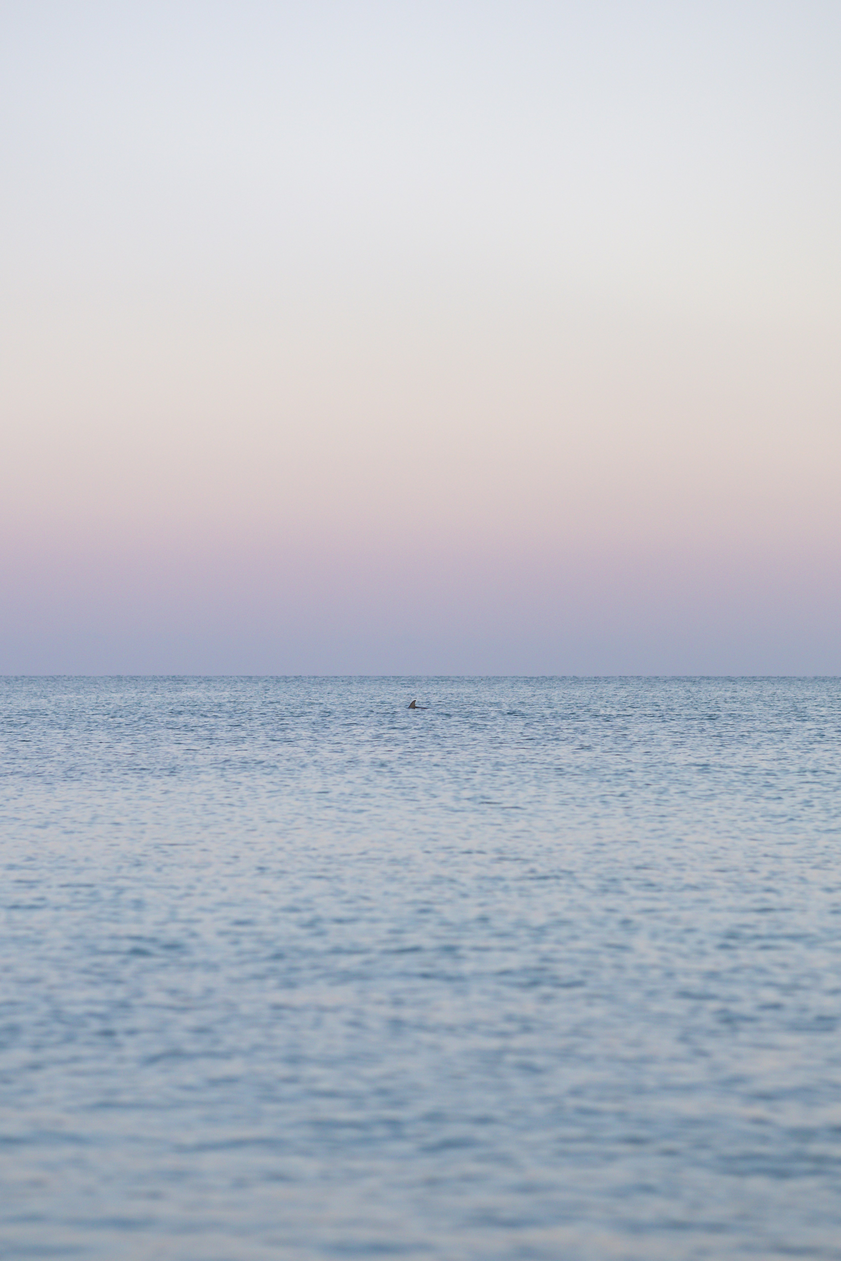 Photo by goosepicklefire