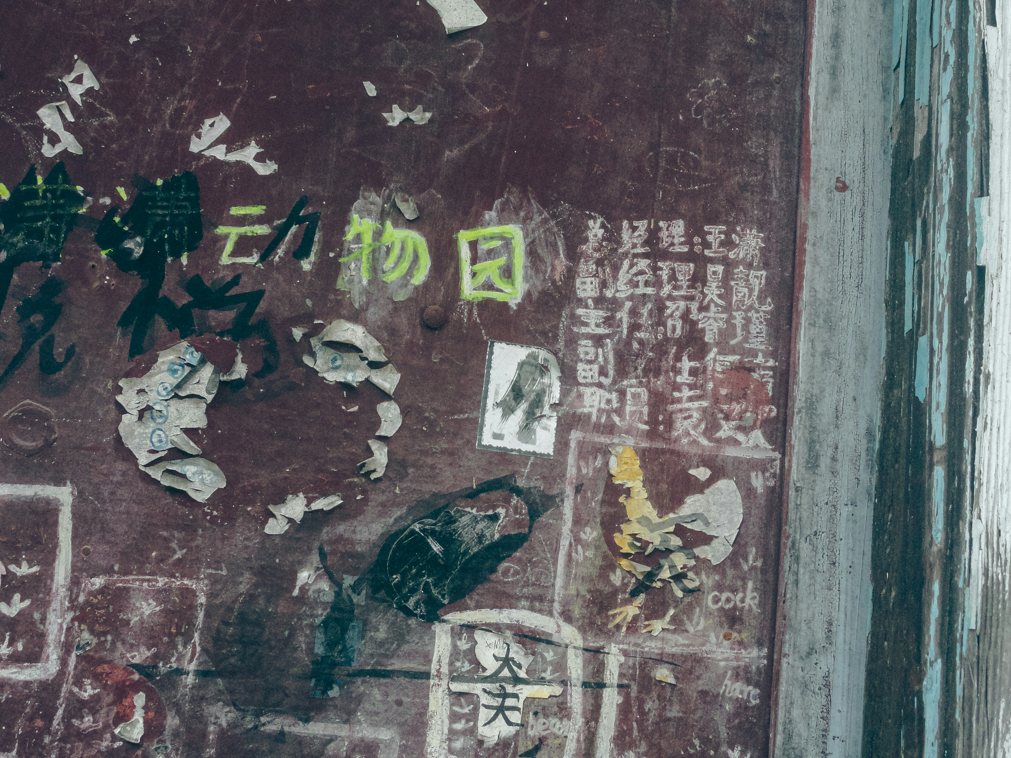 Photo by karw1n