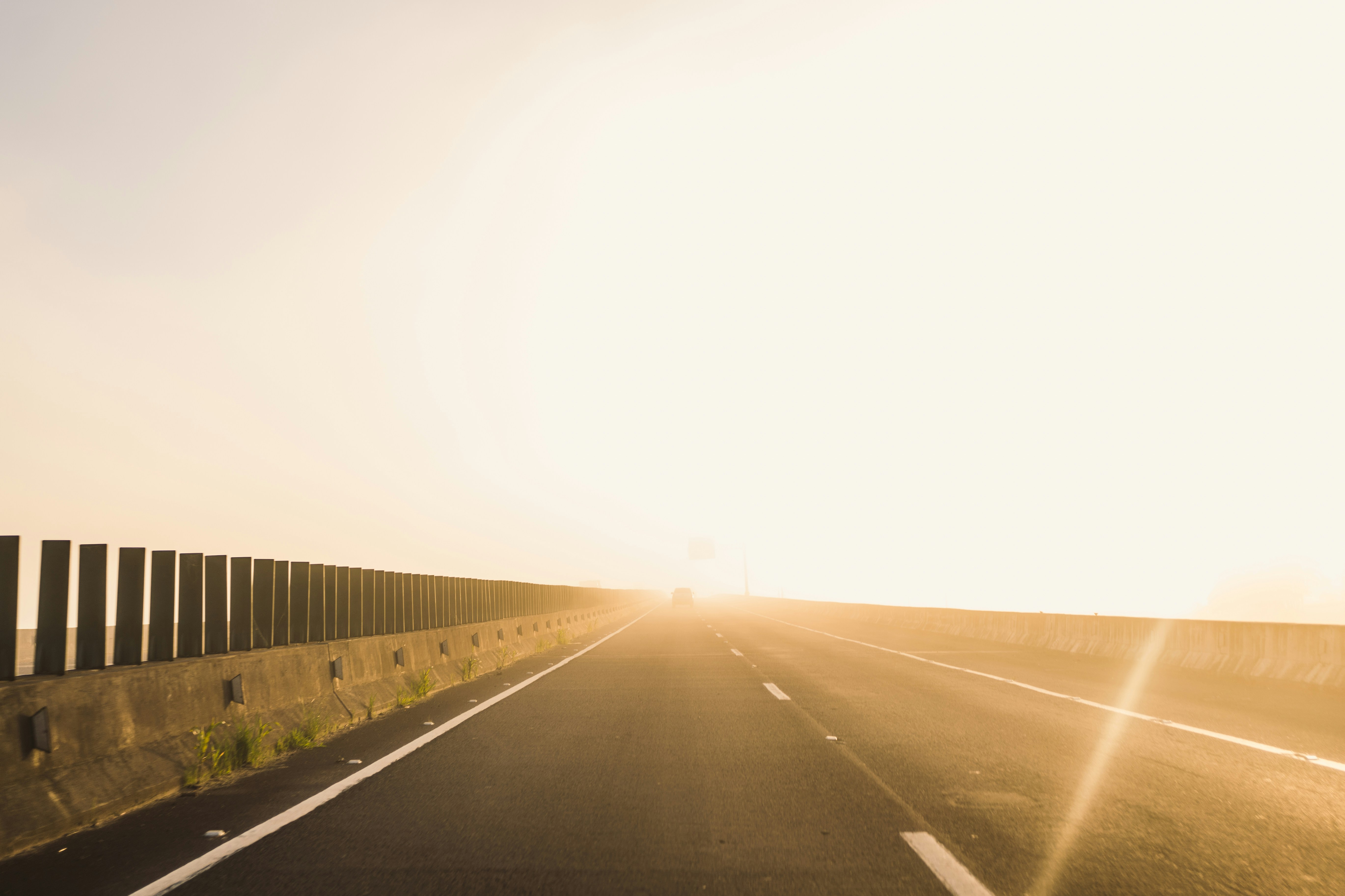 Photo by rogernobles