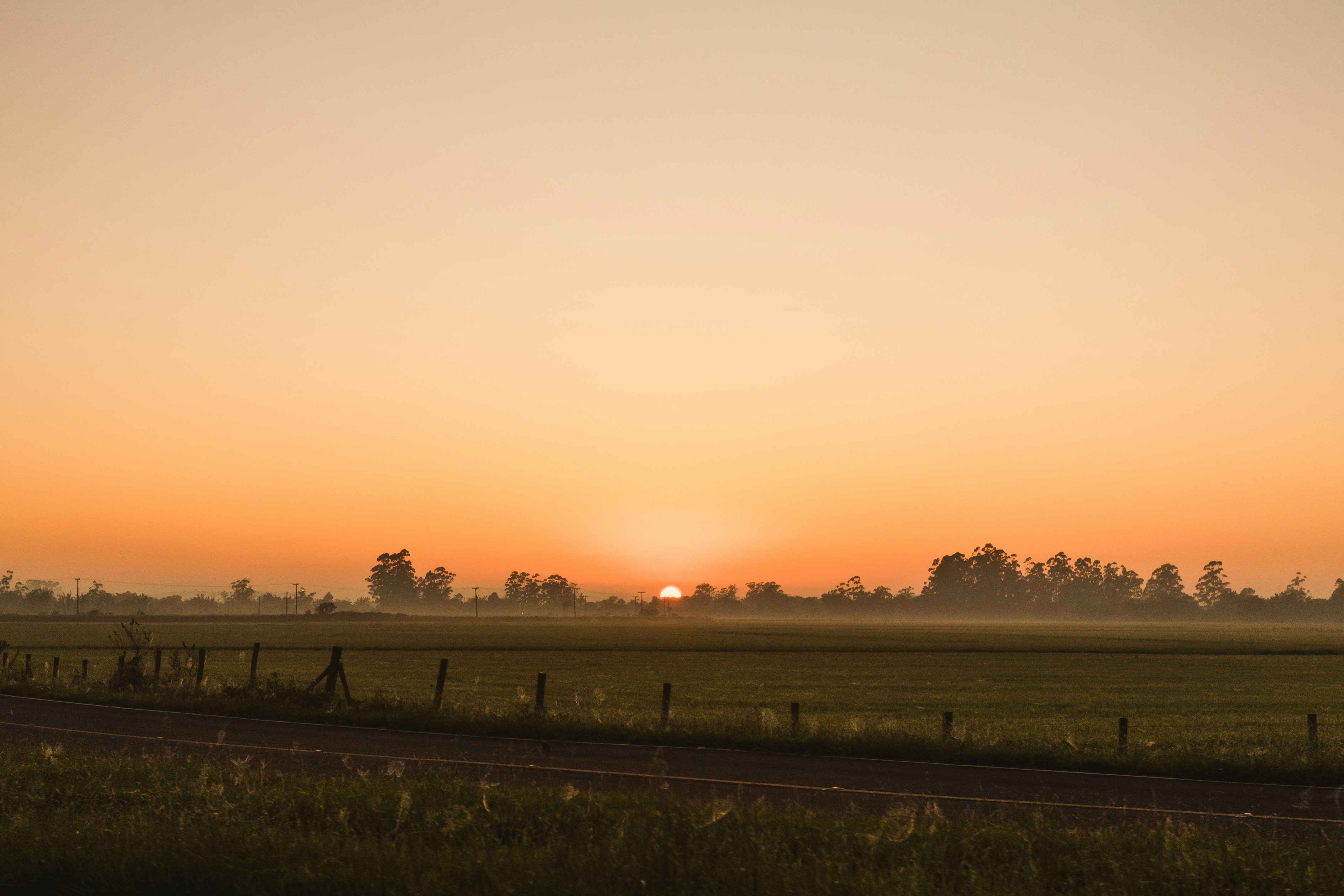 Photo by rogernobles