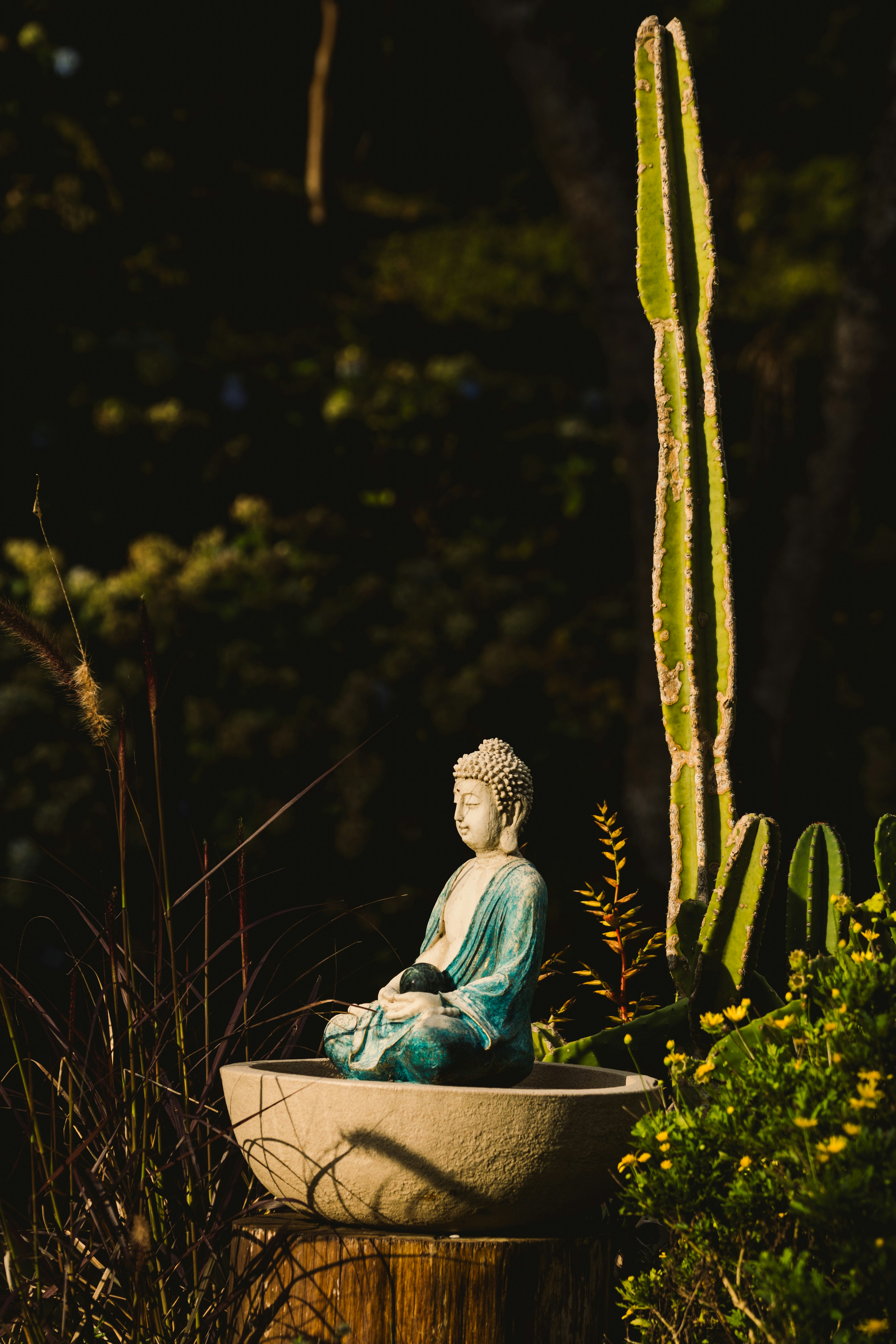 Photo by rogernobles