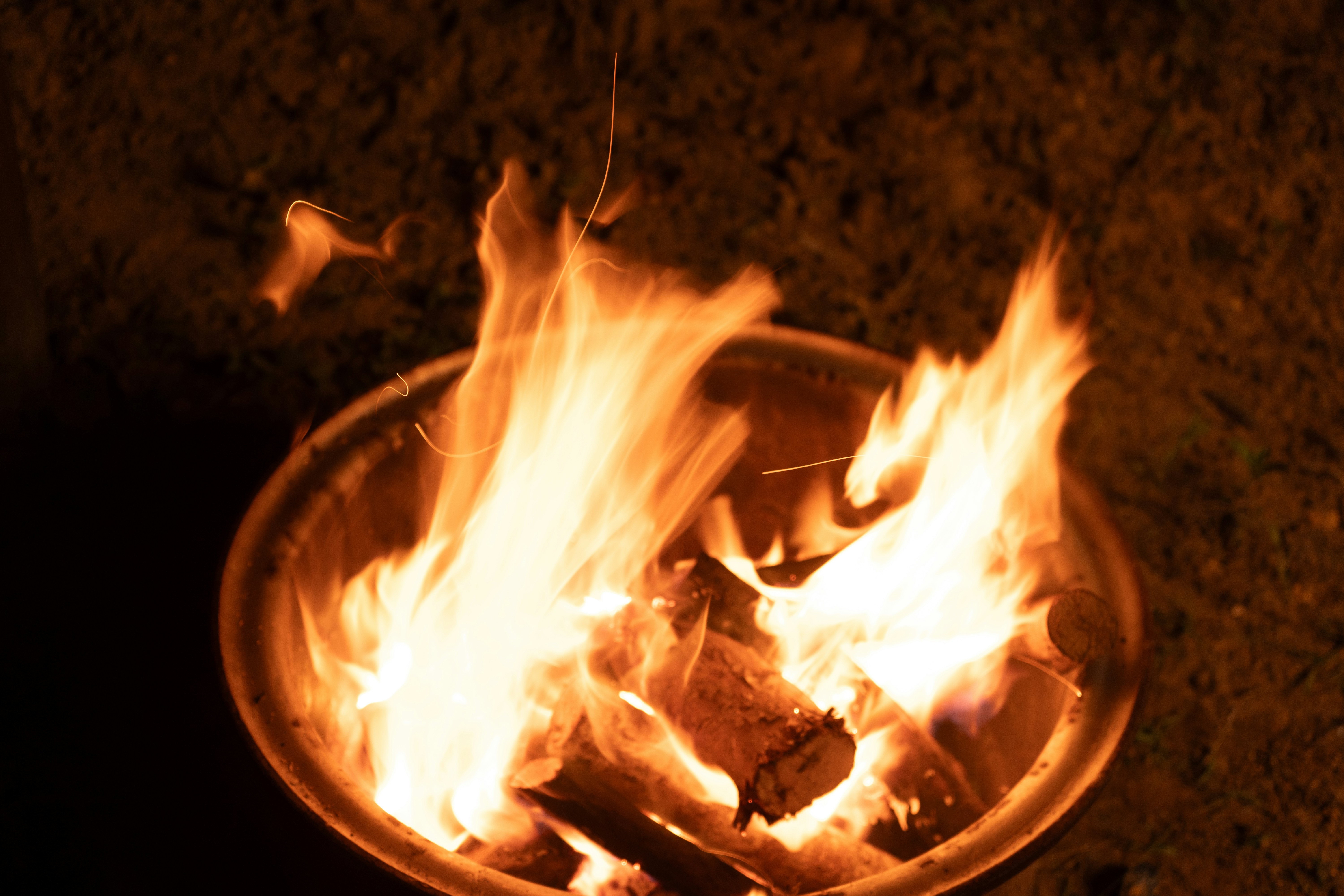 Photo by rogernobles