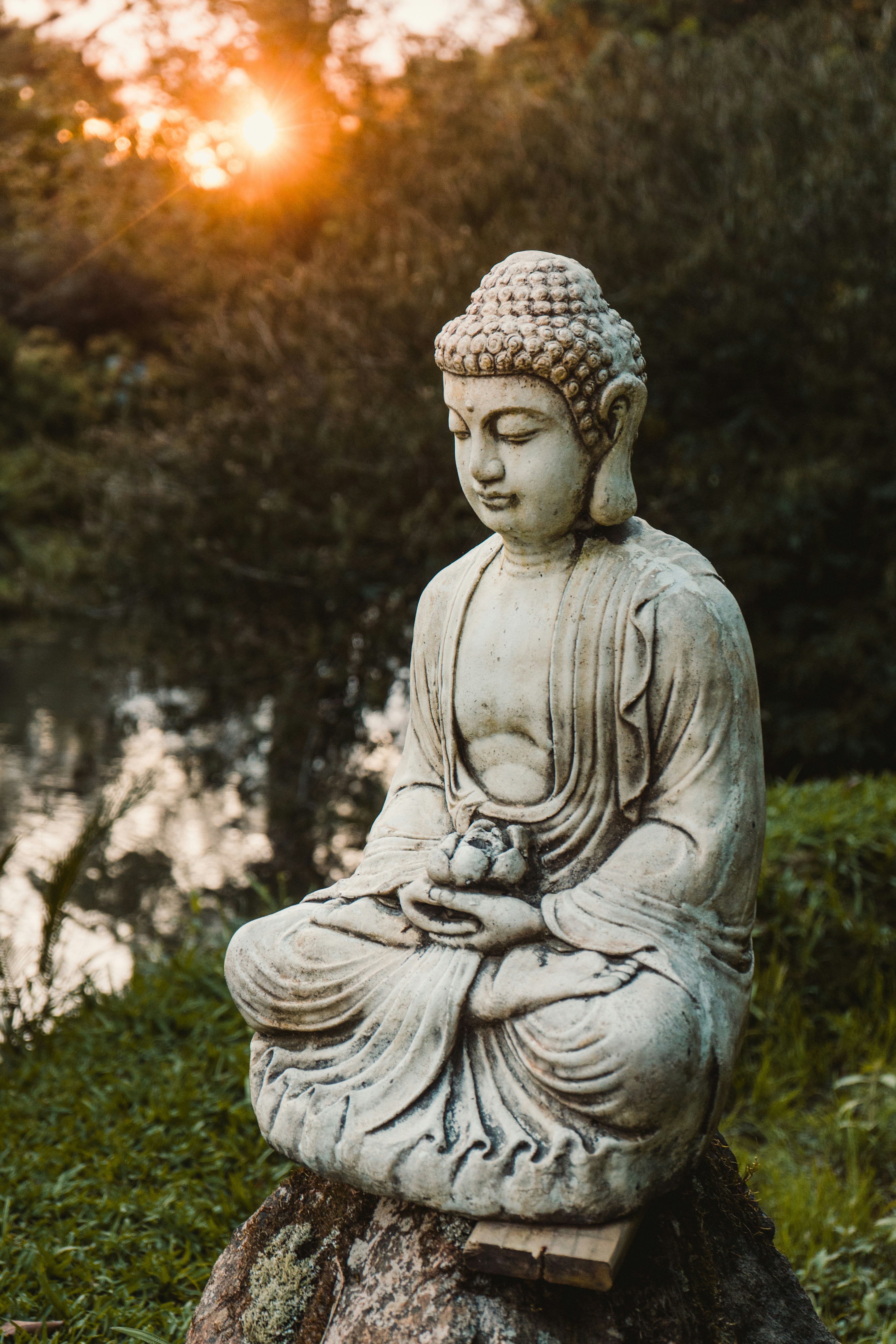 Photo by rogernobles