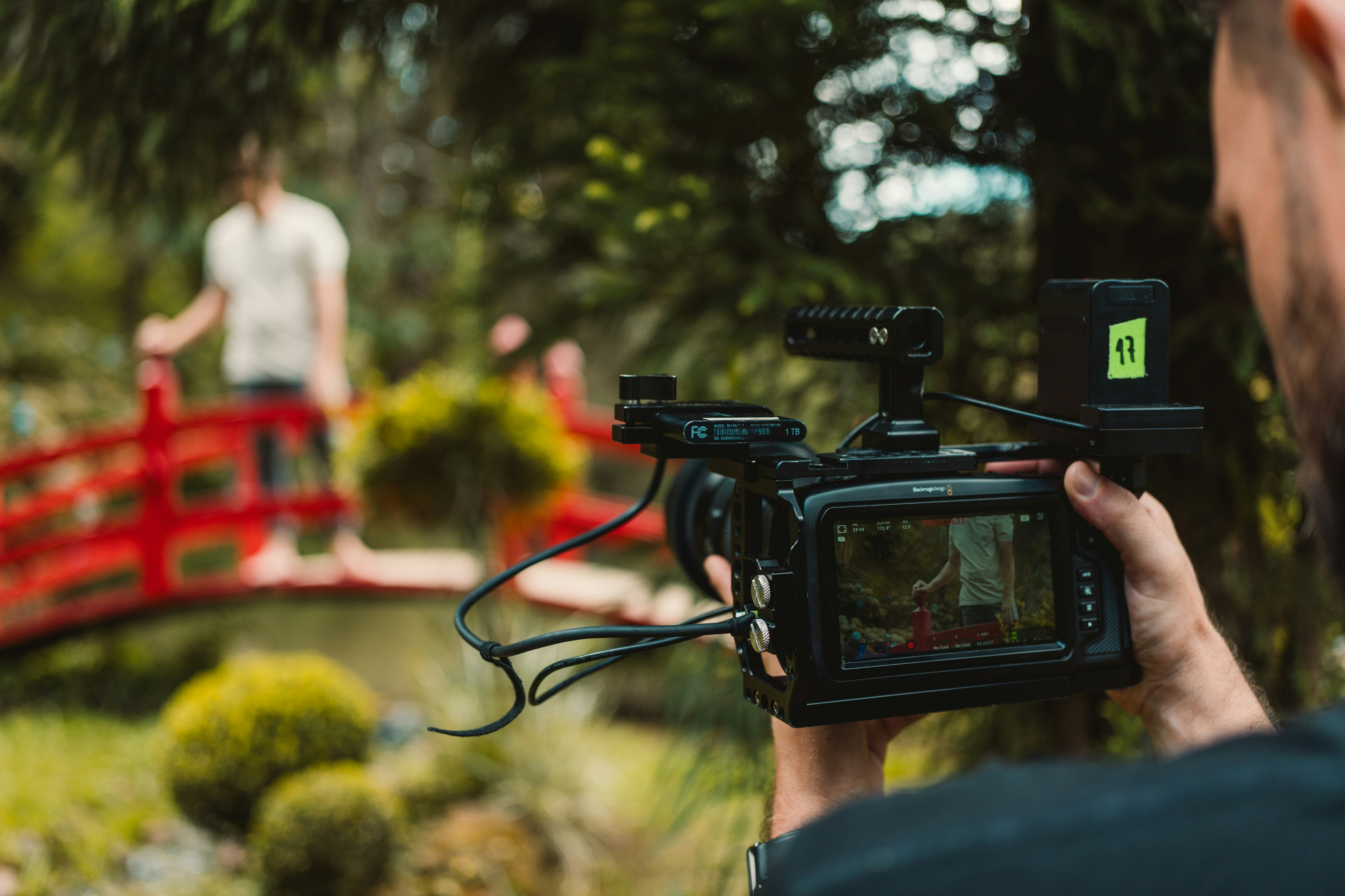 Photo by rogernobles