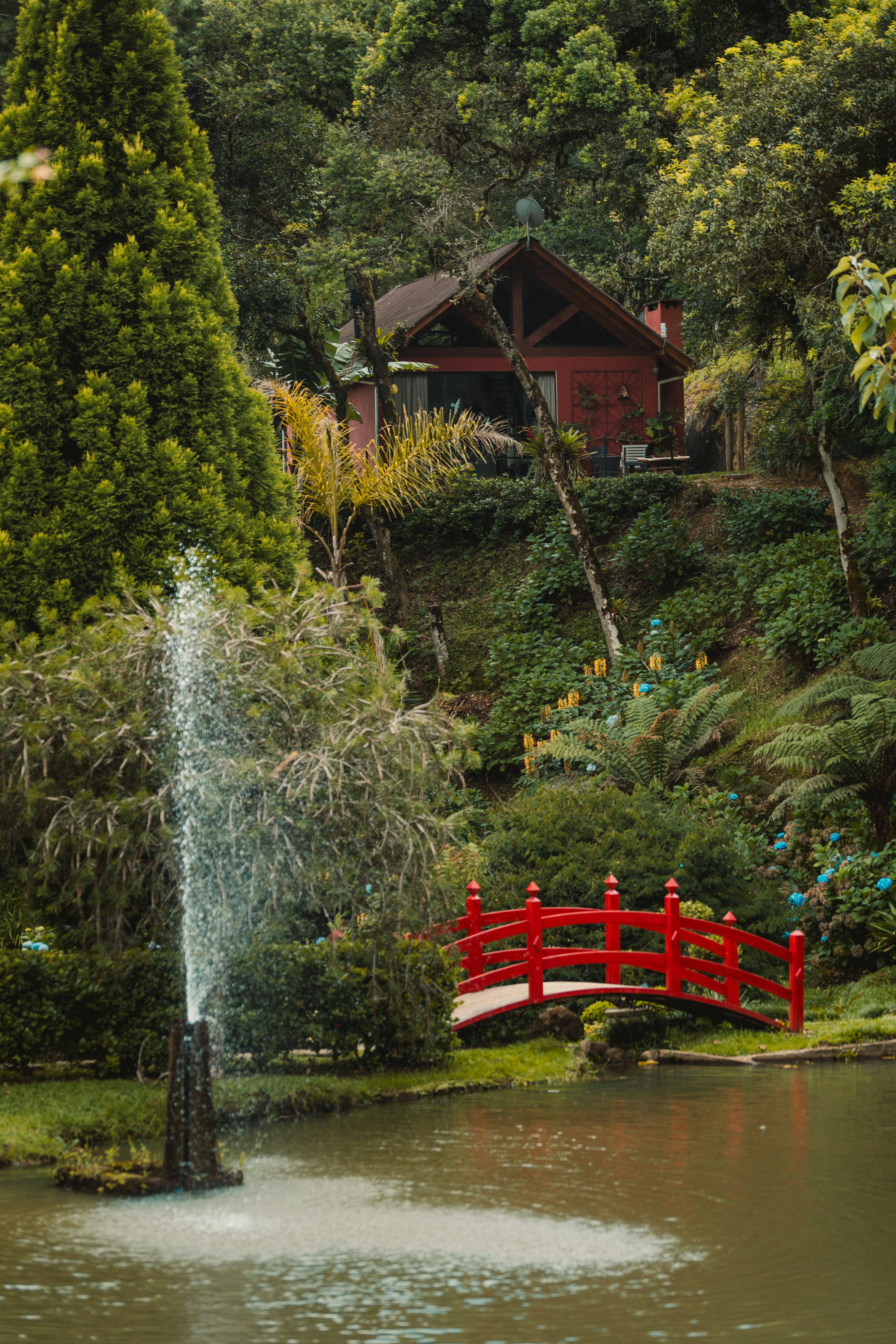 Photo by rogernobles