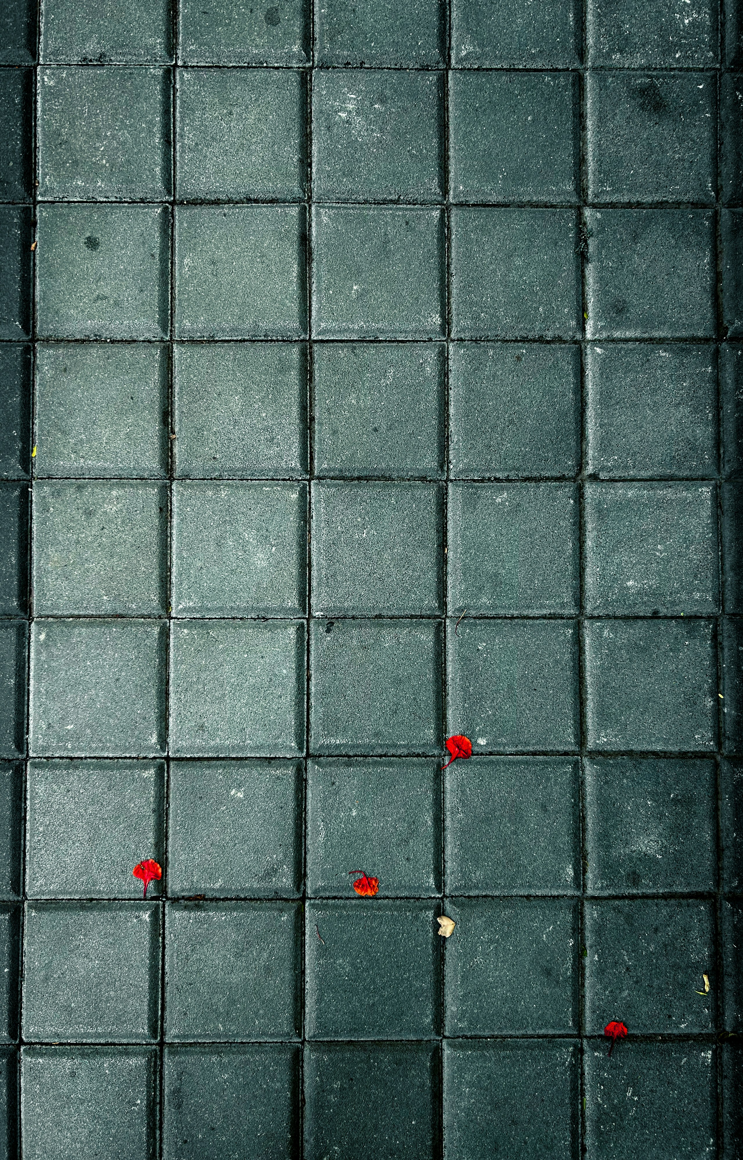 Beitragsbild Hintergrund