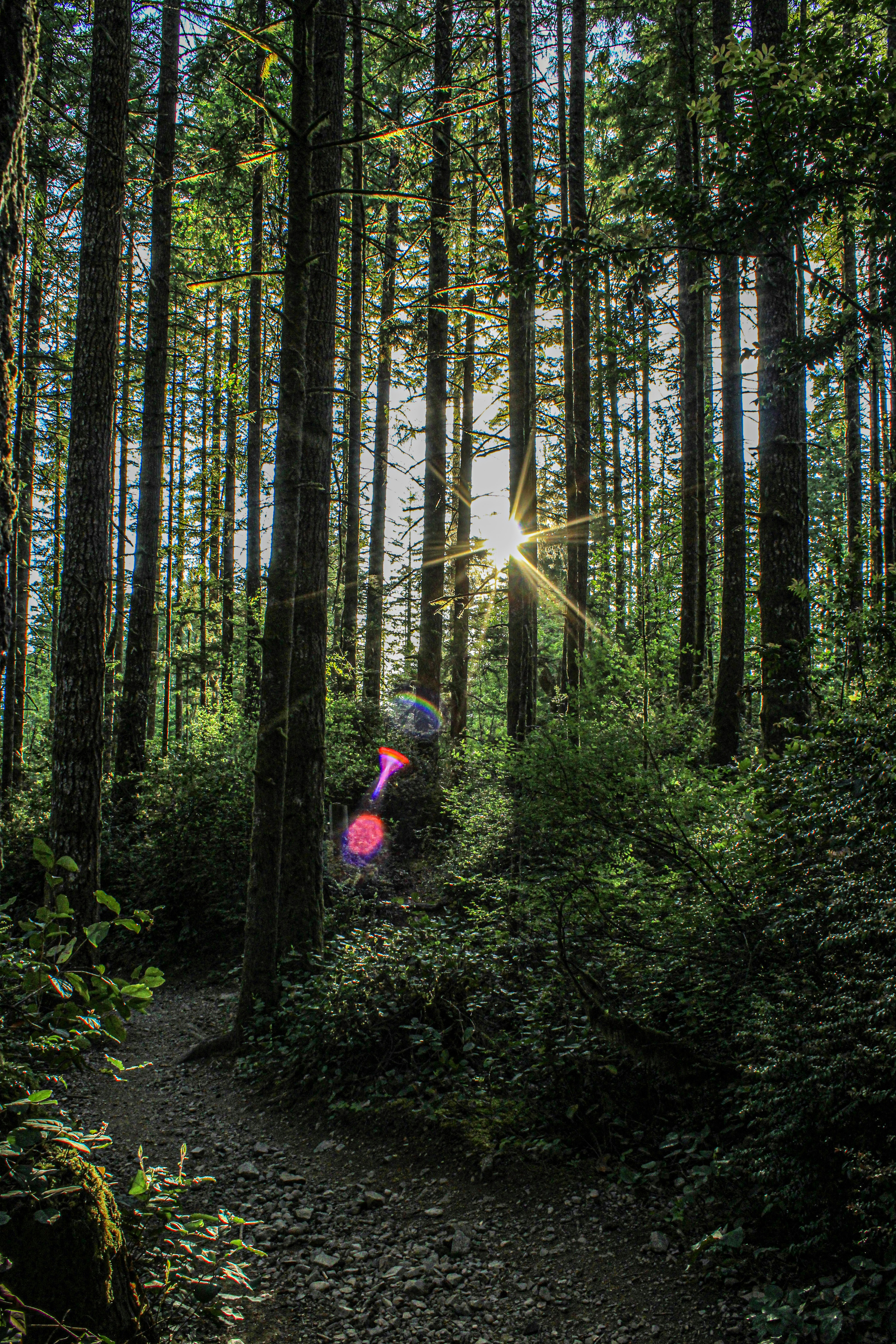 Photo by prphotography262