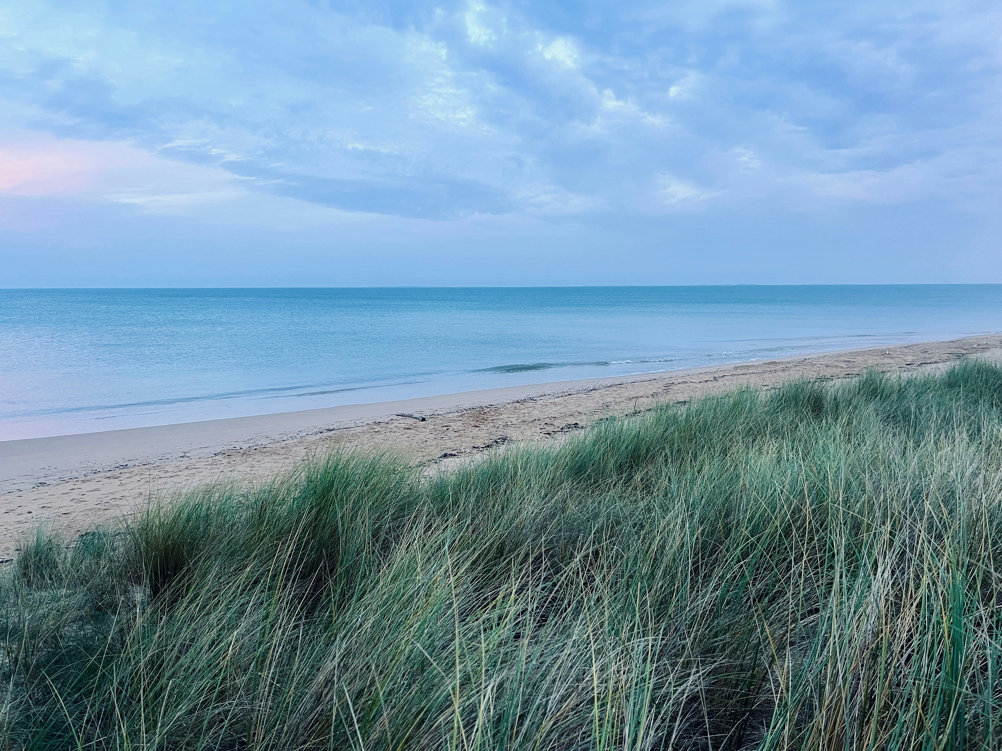 une plage de sable avec de l’herbe poussant sur le sable