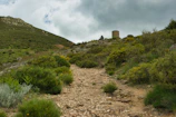 a dirt path going up a hill with a tower in the distance