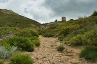 a dirt path going up a hill with a tower in the distance