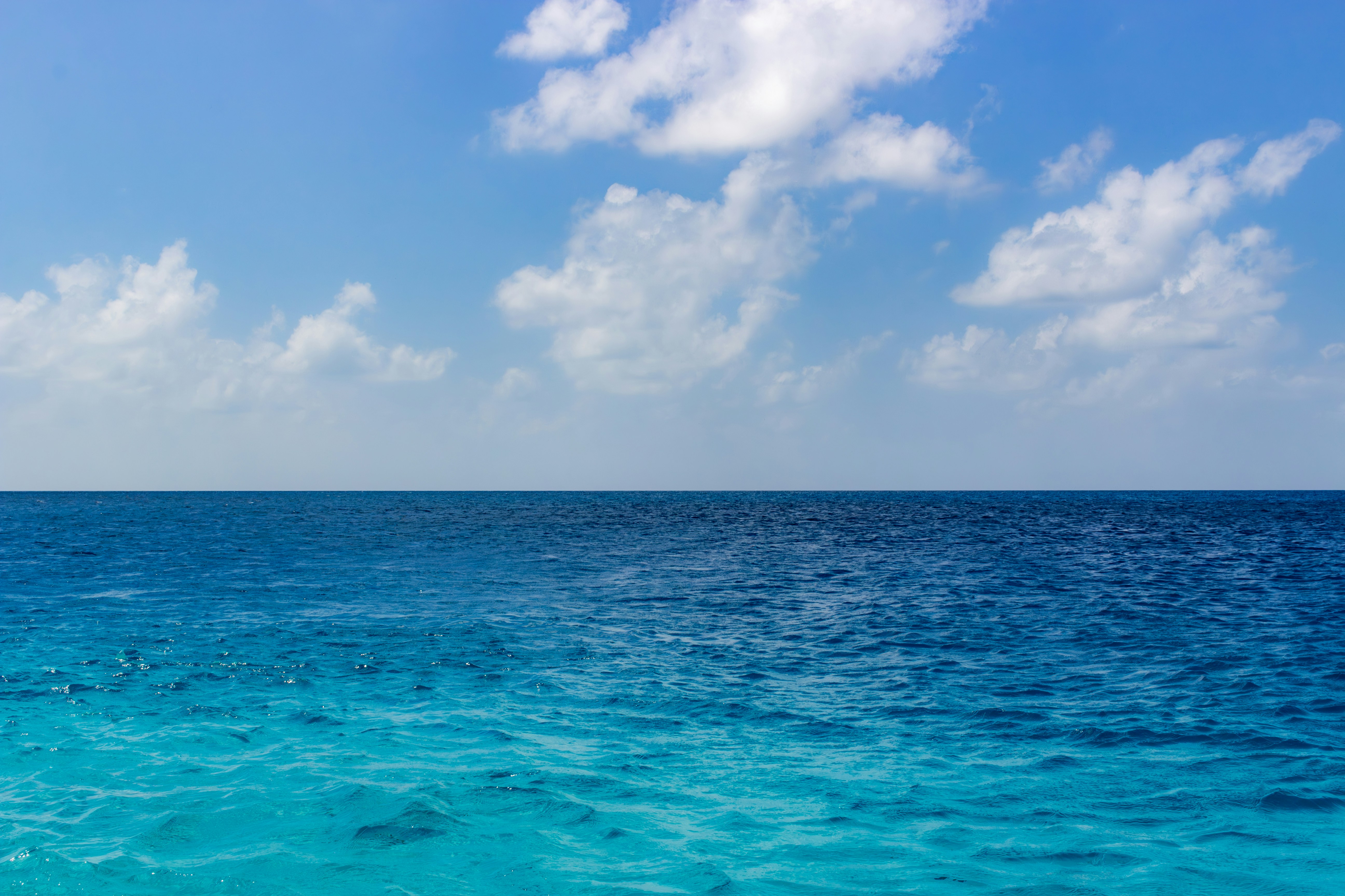 Photo by alexandra_yunusova