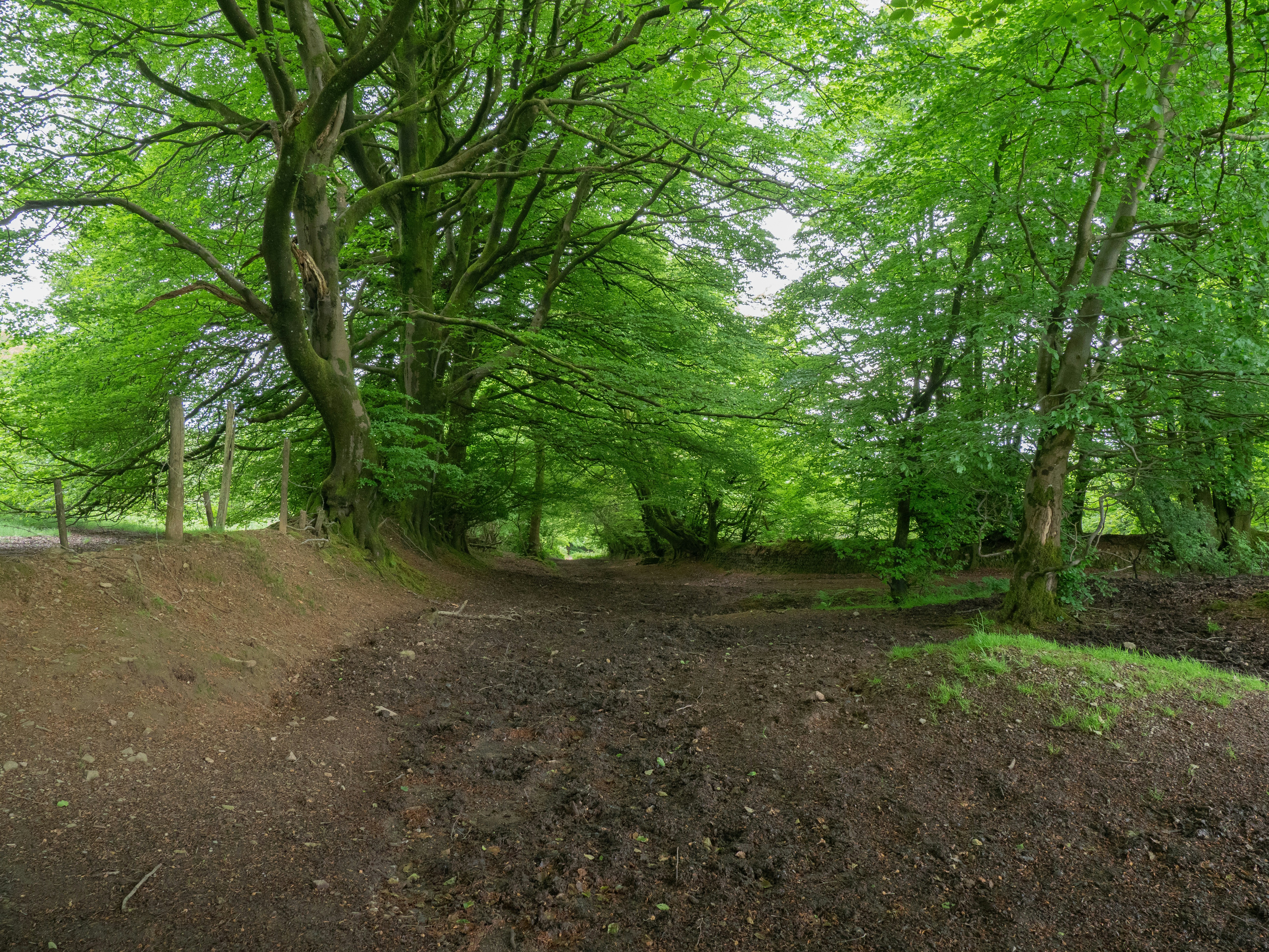 Photo by brett_jordan