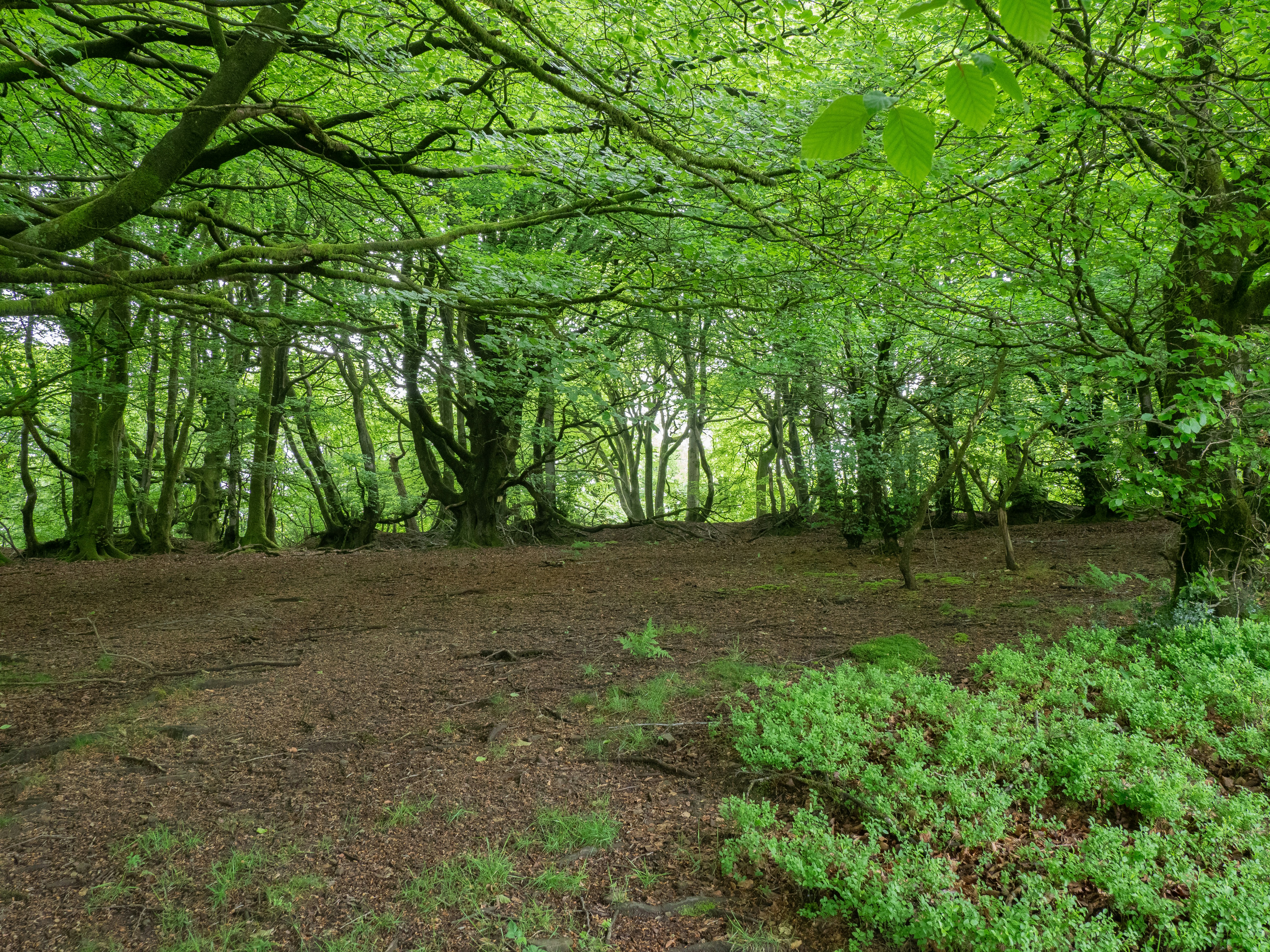 Photo by brett_jordan