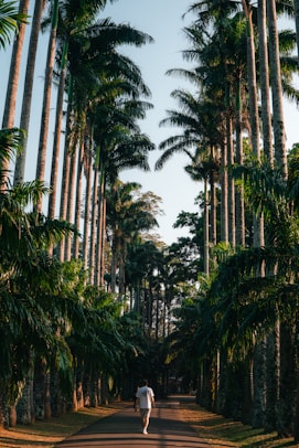 a man walking down a road surrounded by palm trees