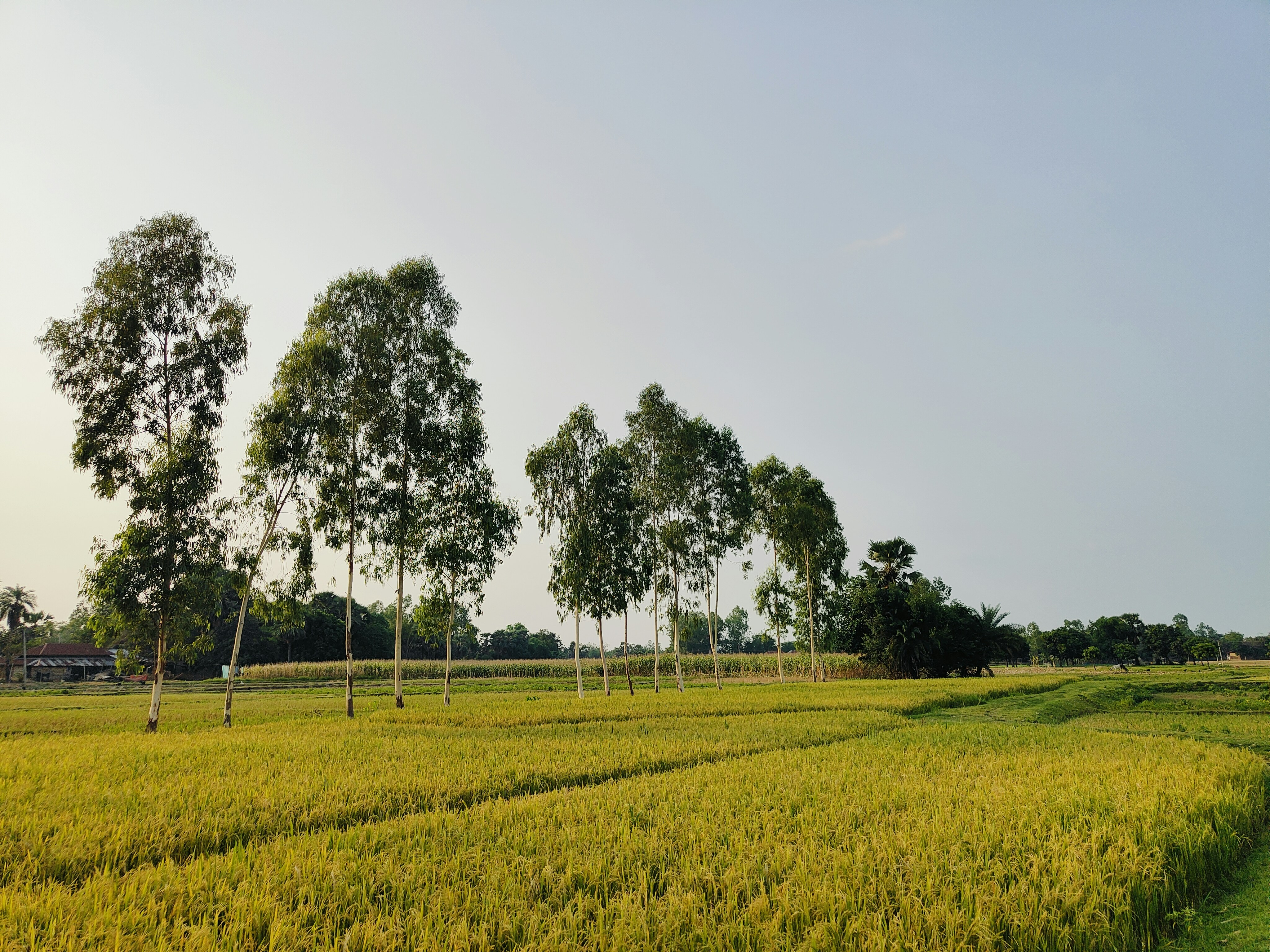 Photo by ritanuka_023