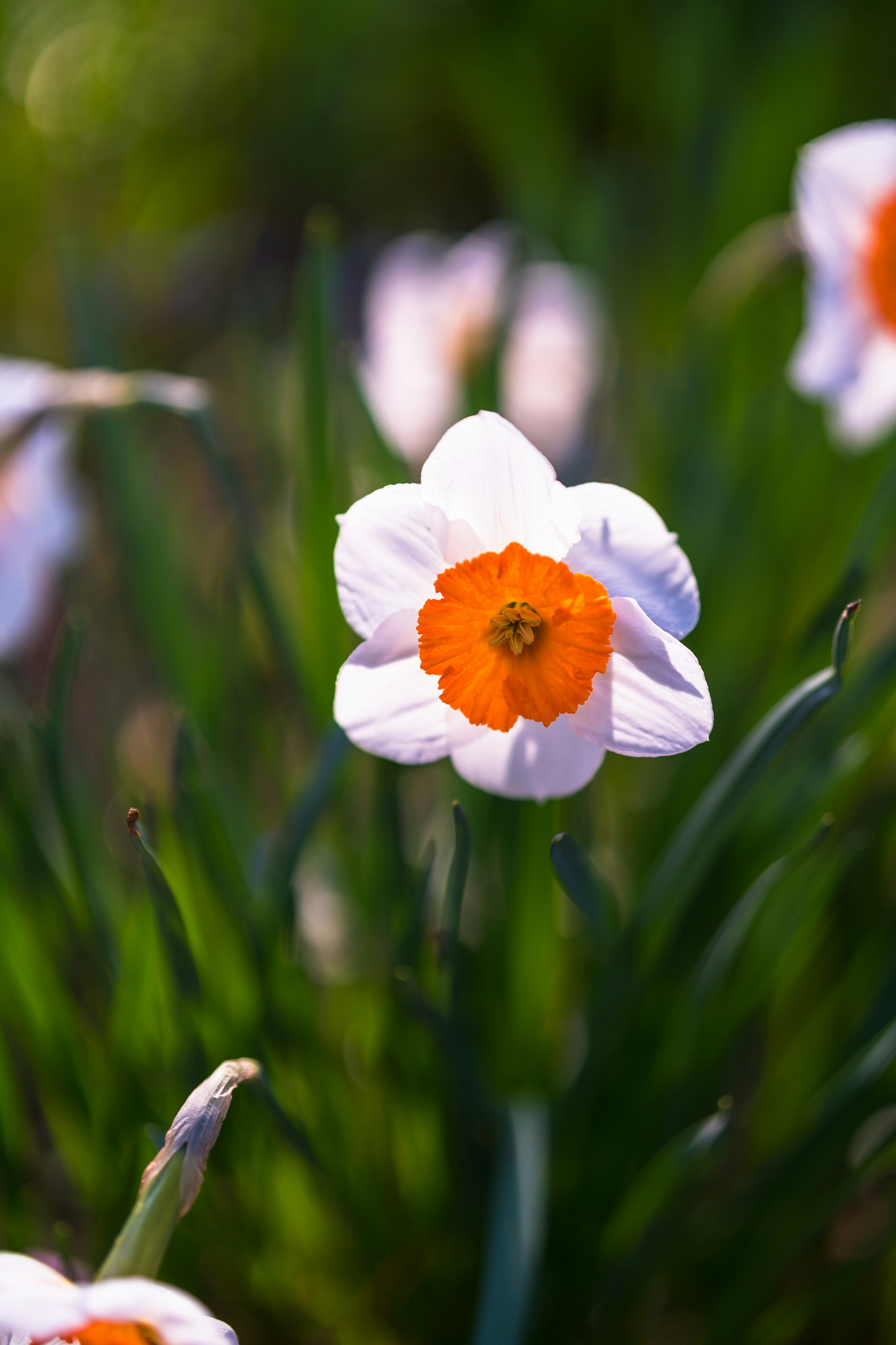 Photo by bangscreative