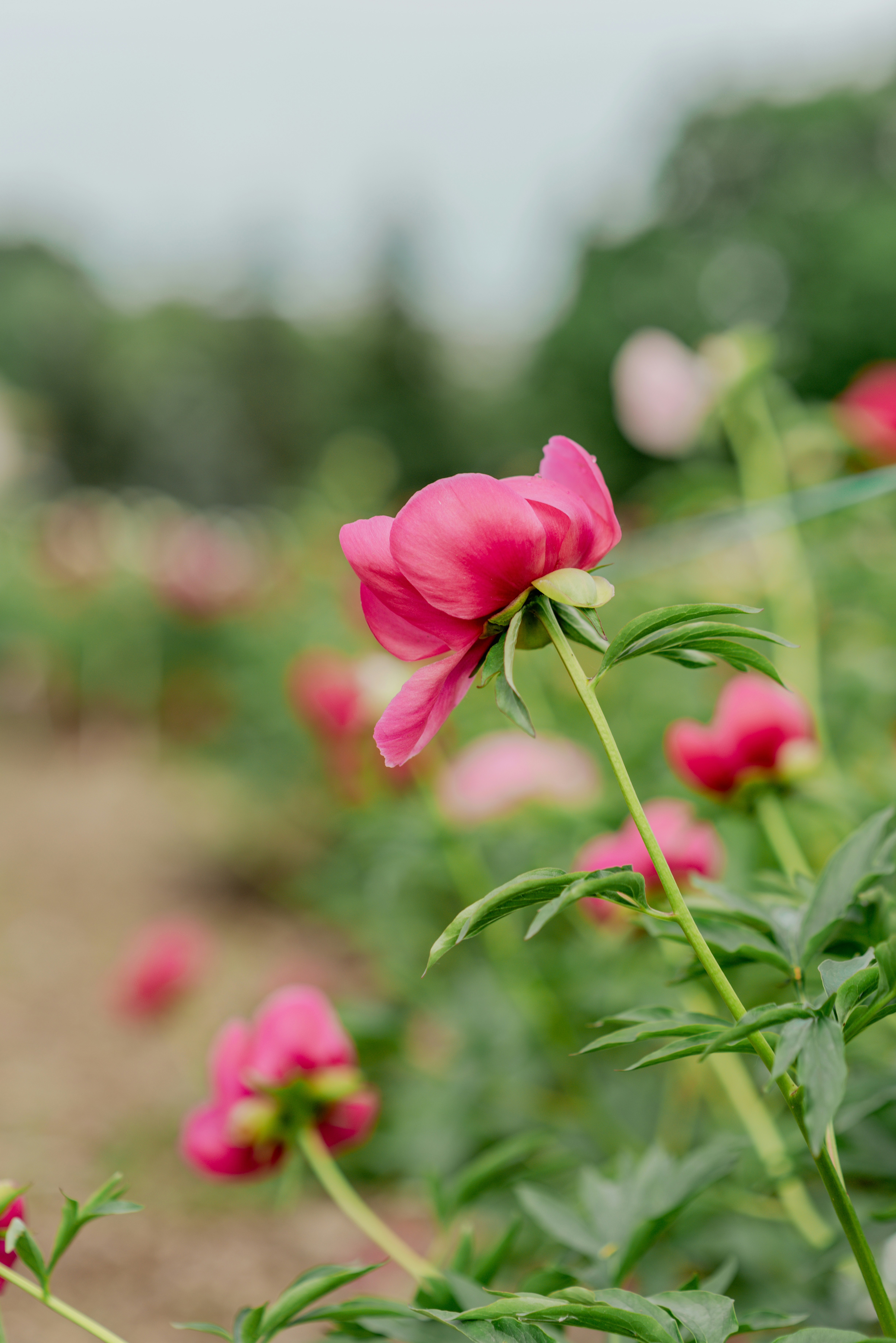 Photo by eugenivy_now