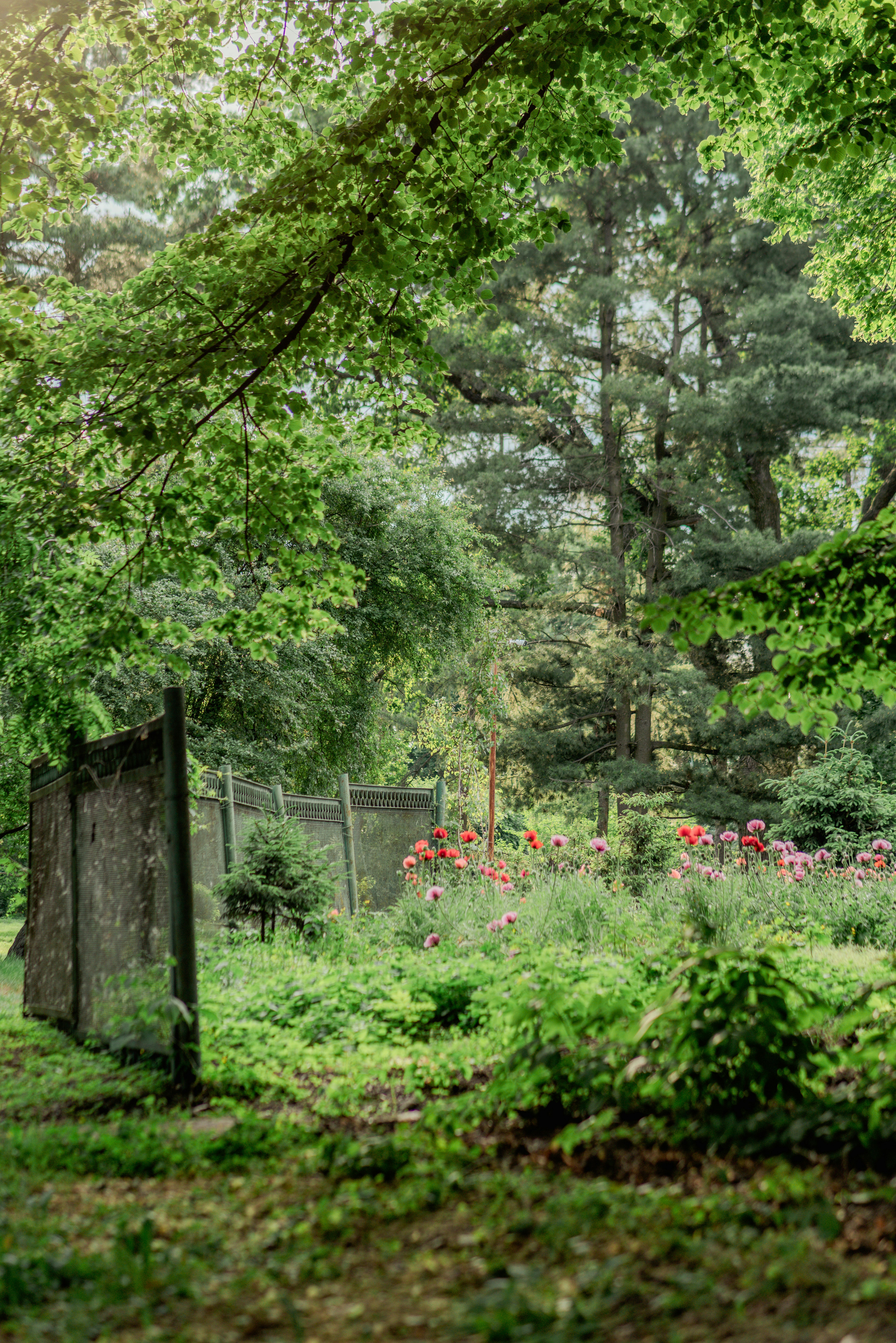 Photo by eugenivy_now