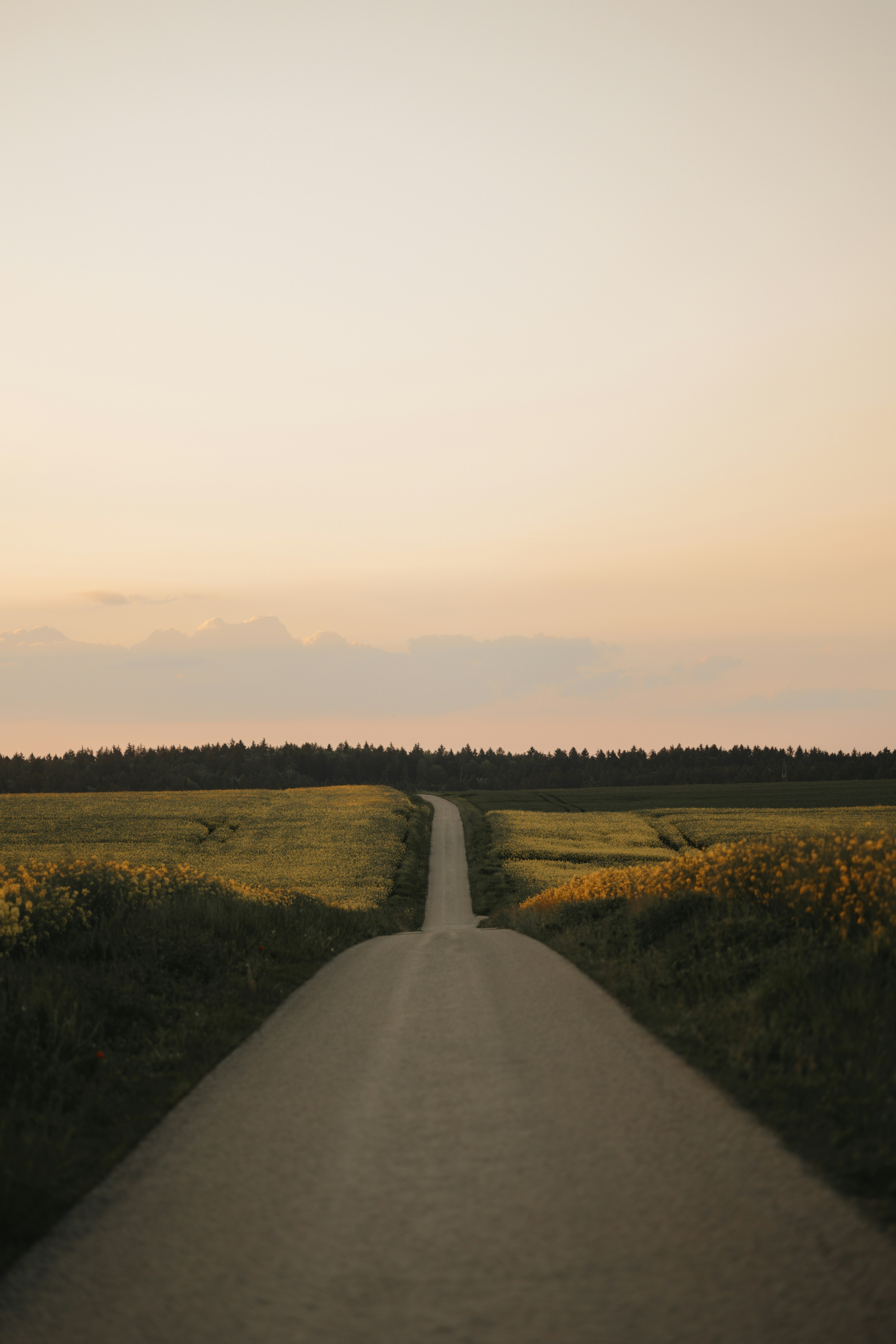 EU Adopts New Sanctions Against Russia Following the Death of Alexei Navalny