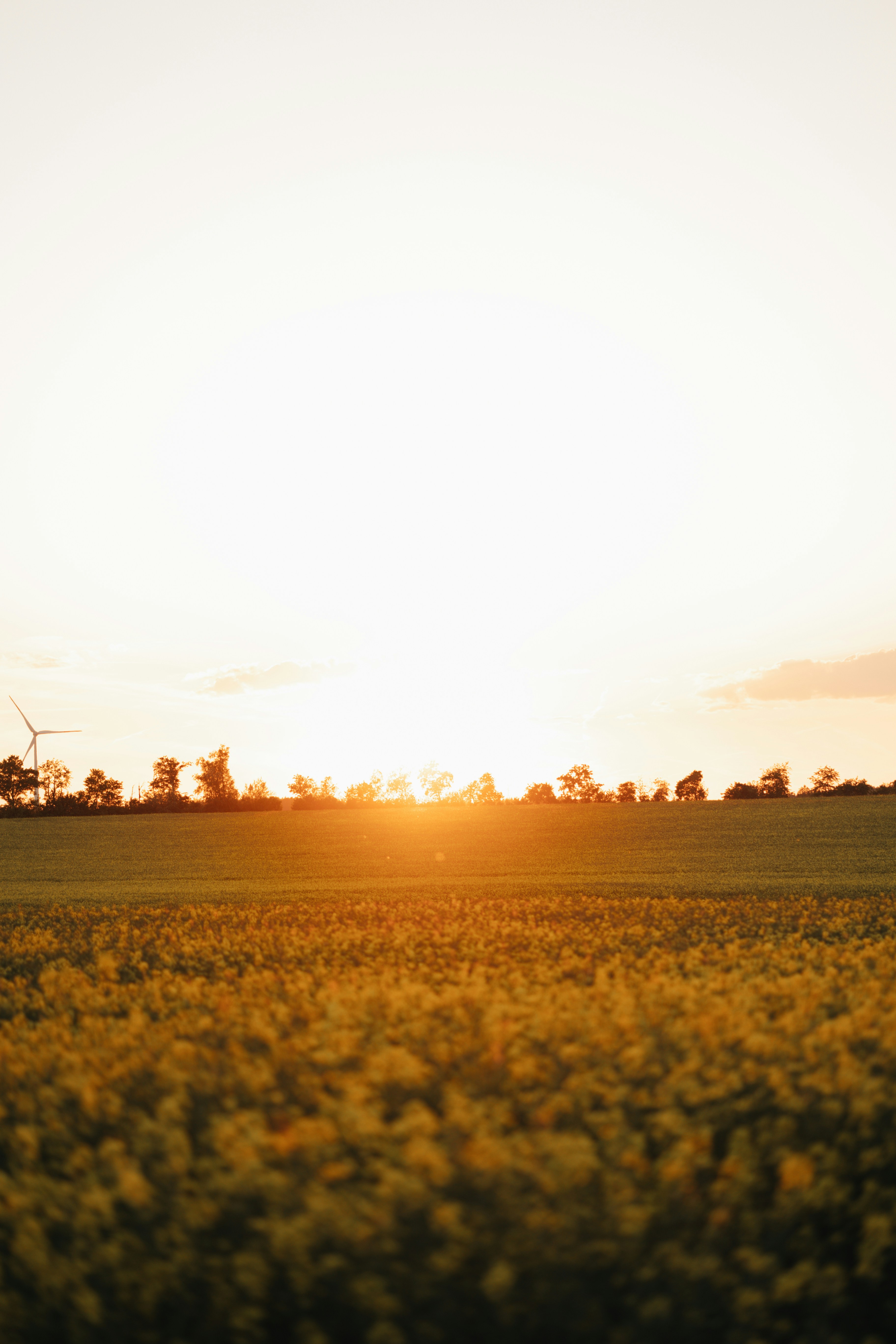 Photo by elisamoldovan