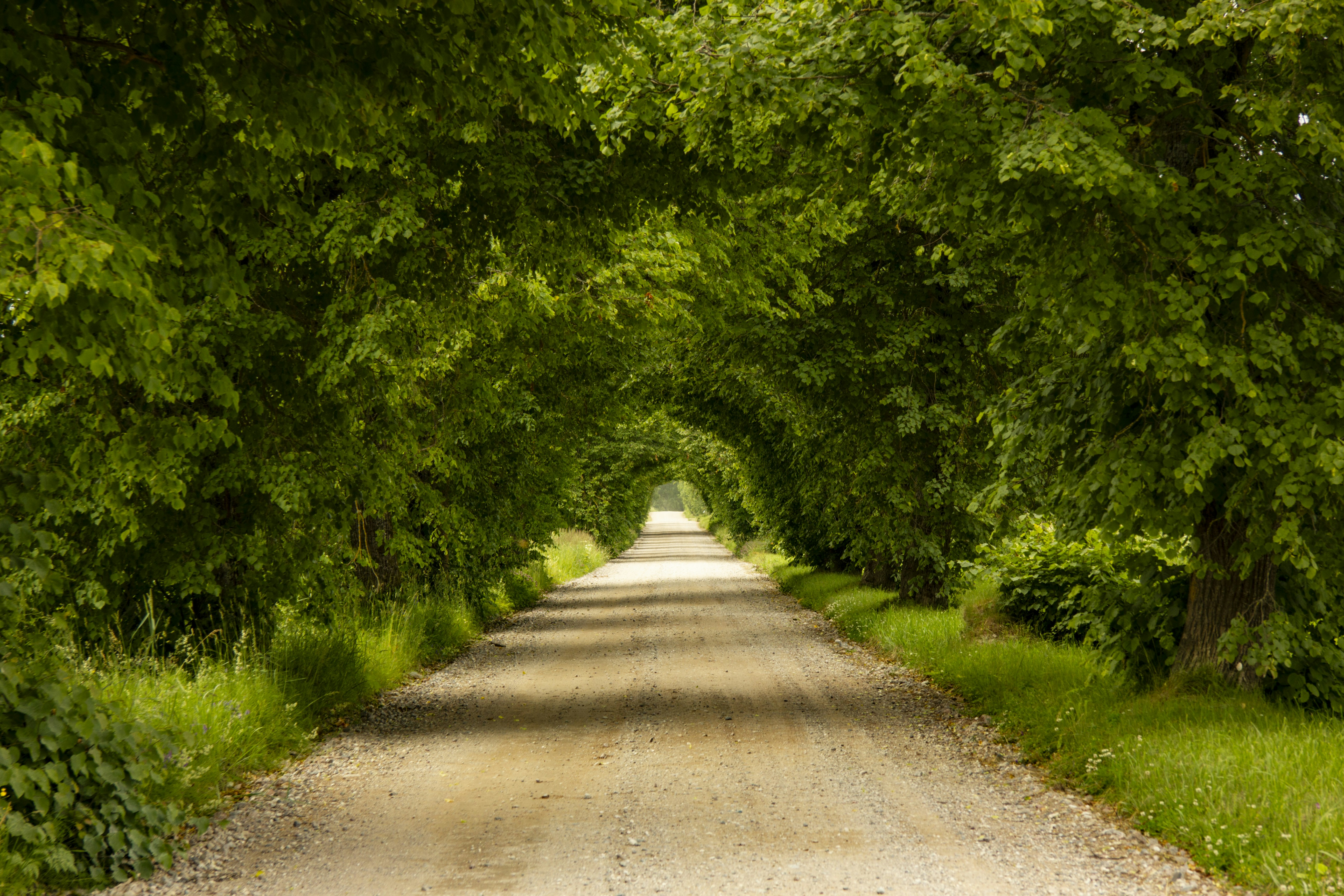 Photo by mycreativedisorder