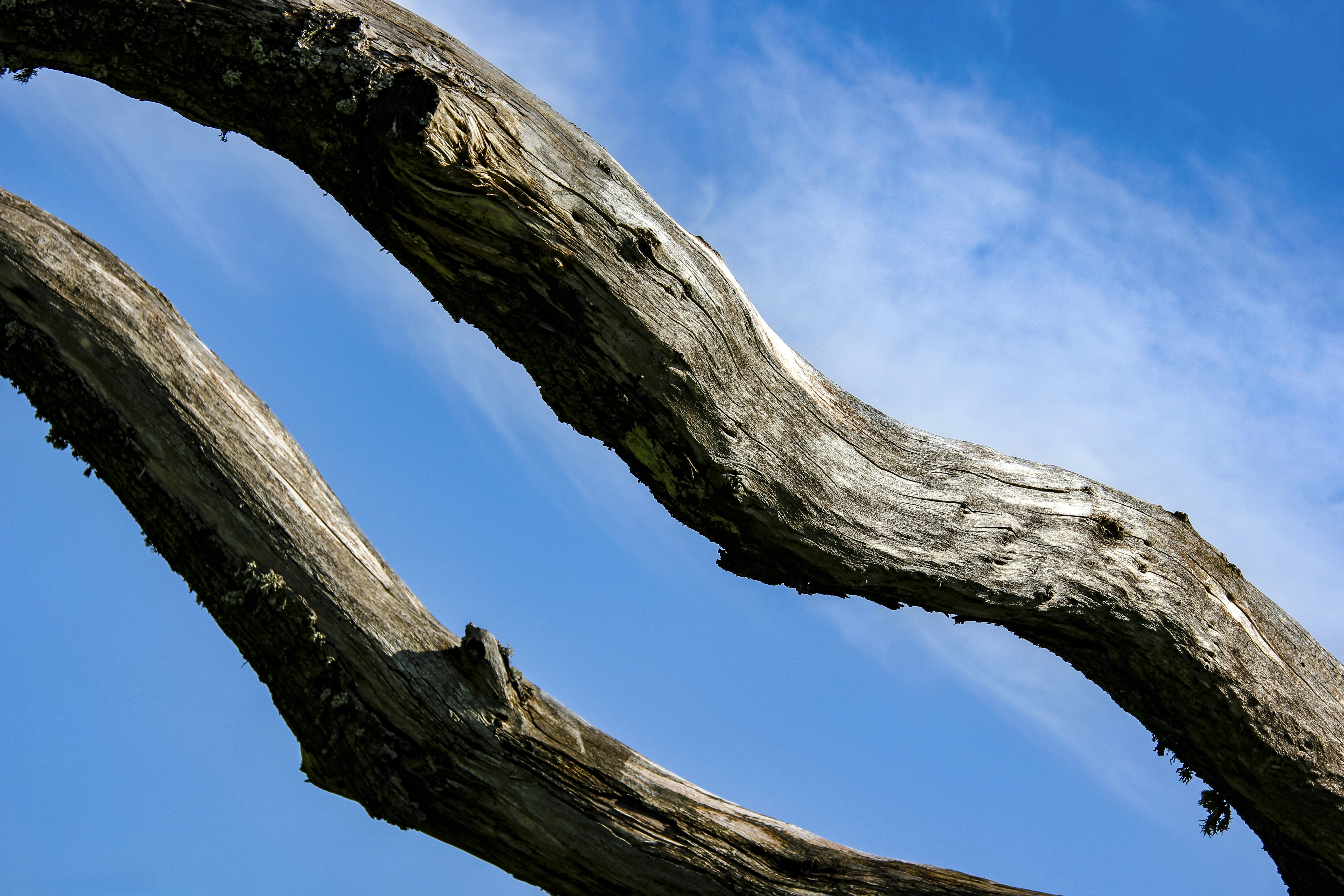 Photo by mycreativedisorder