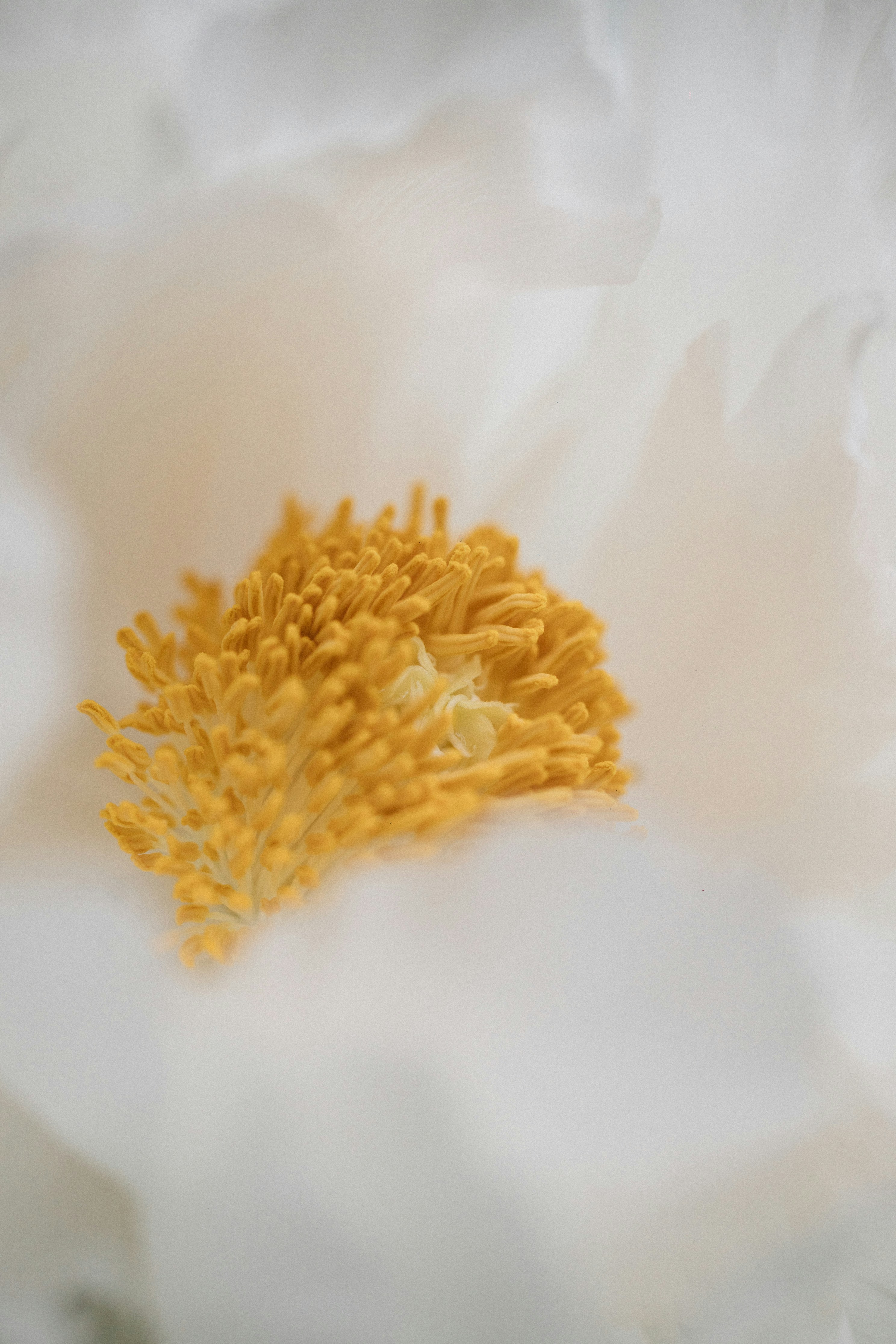 Photo by tsuyoshikozu