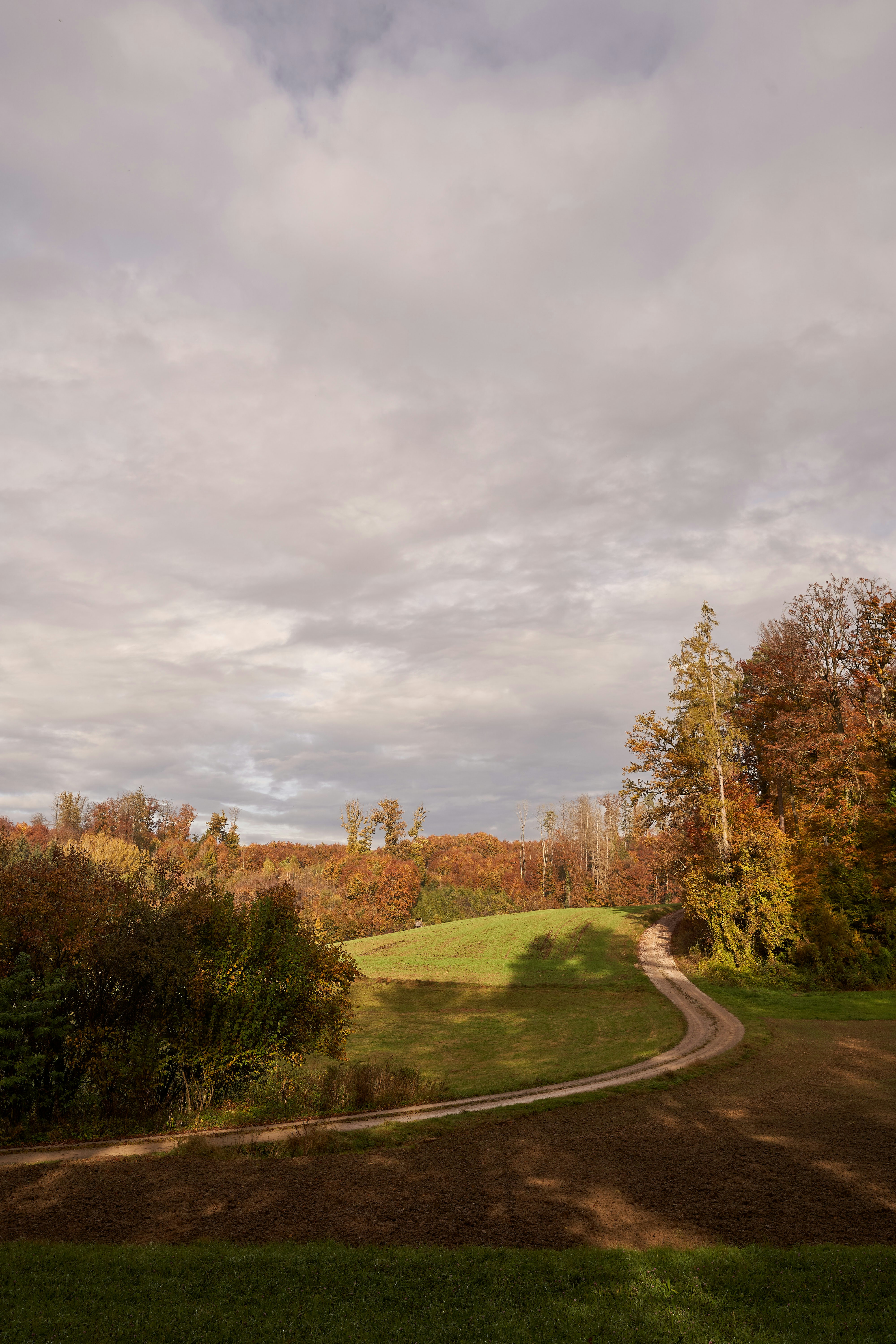 Photo by wolfgang_hasselmann