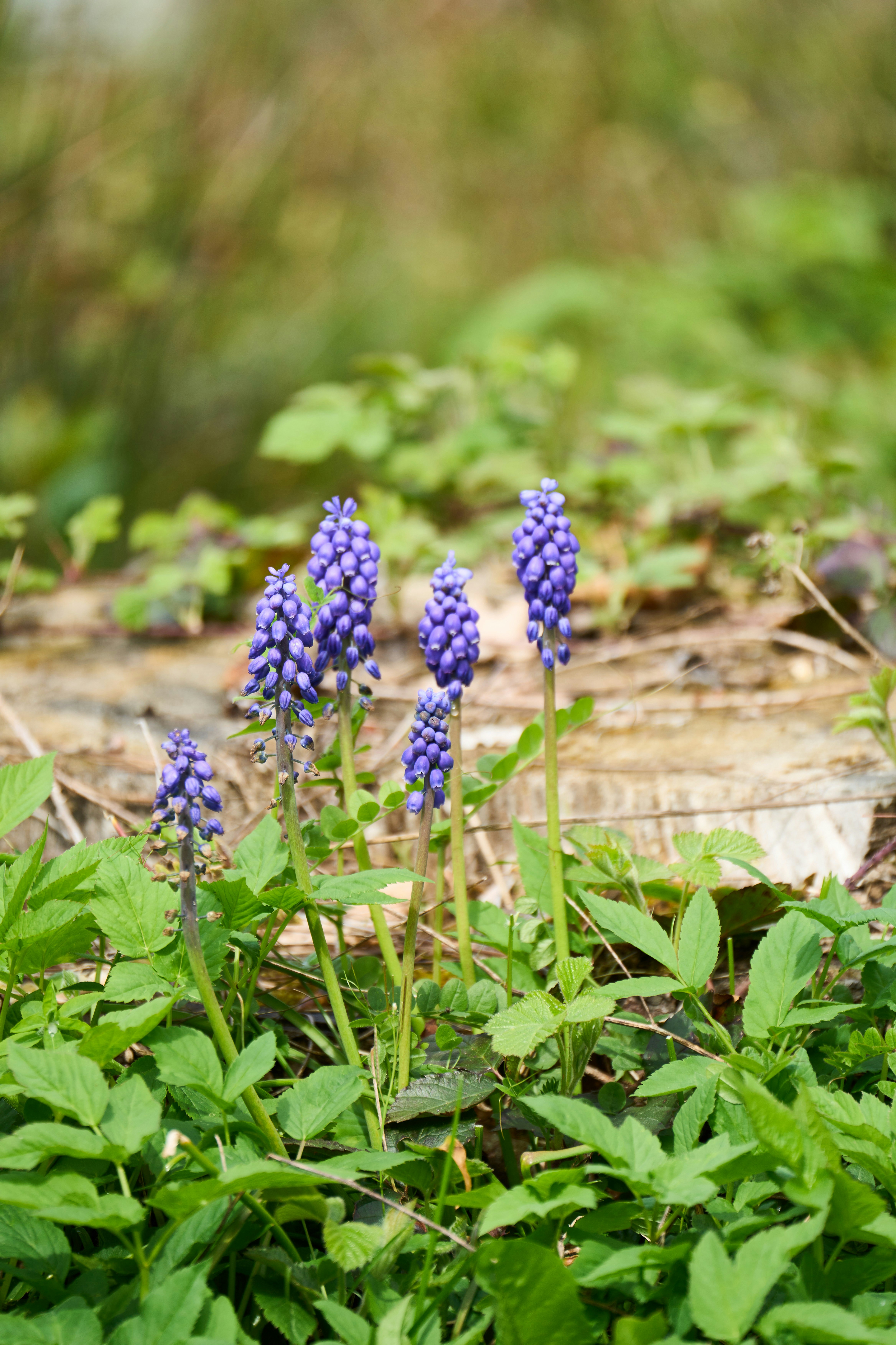 Photo by wolfgang_hasselmann