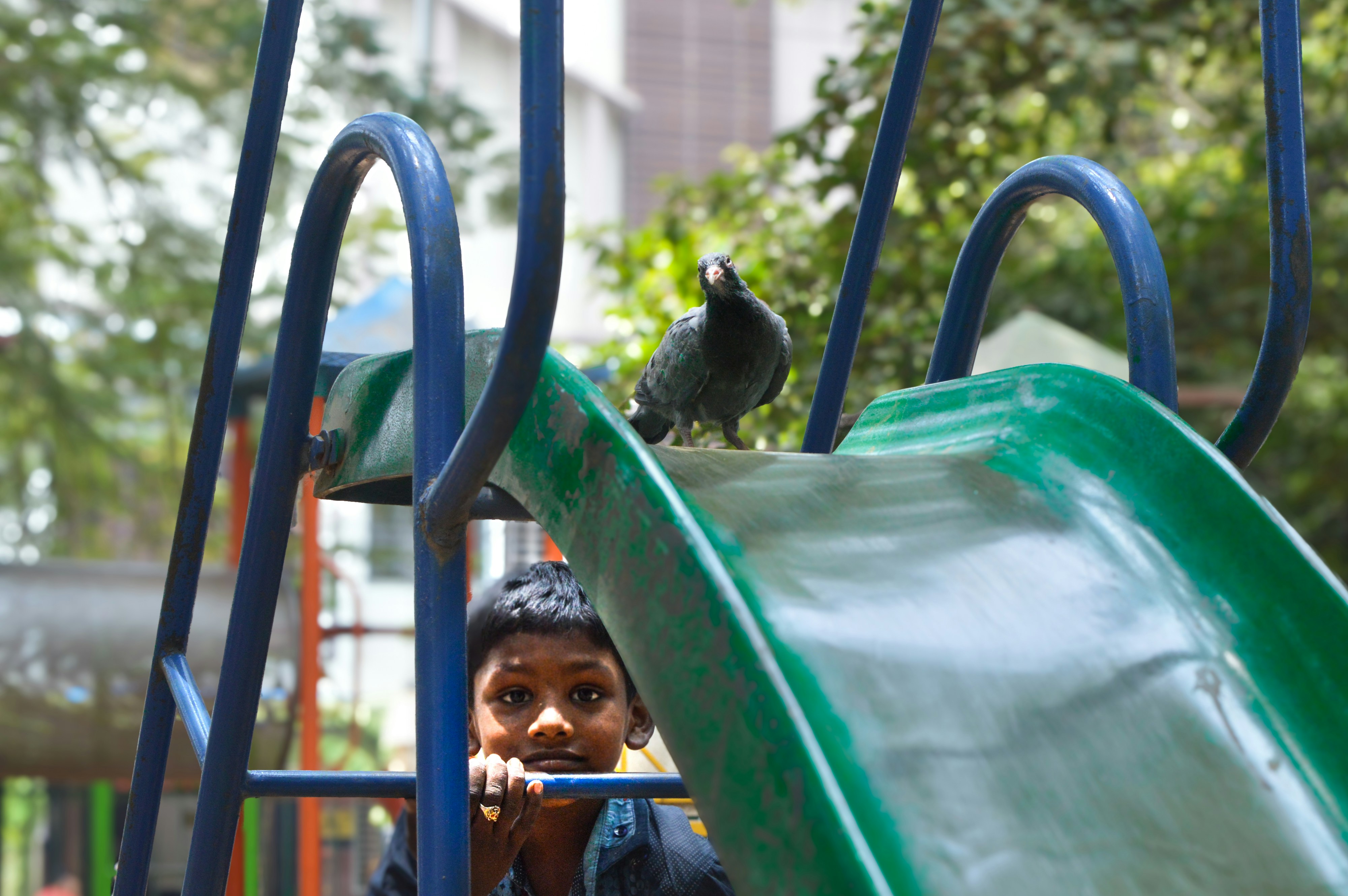 A little boy sitting on a slide in a park