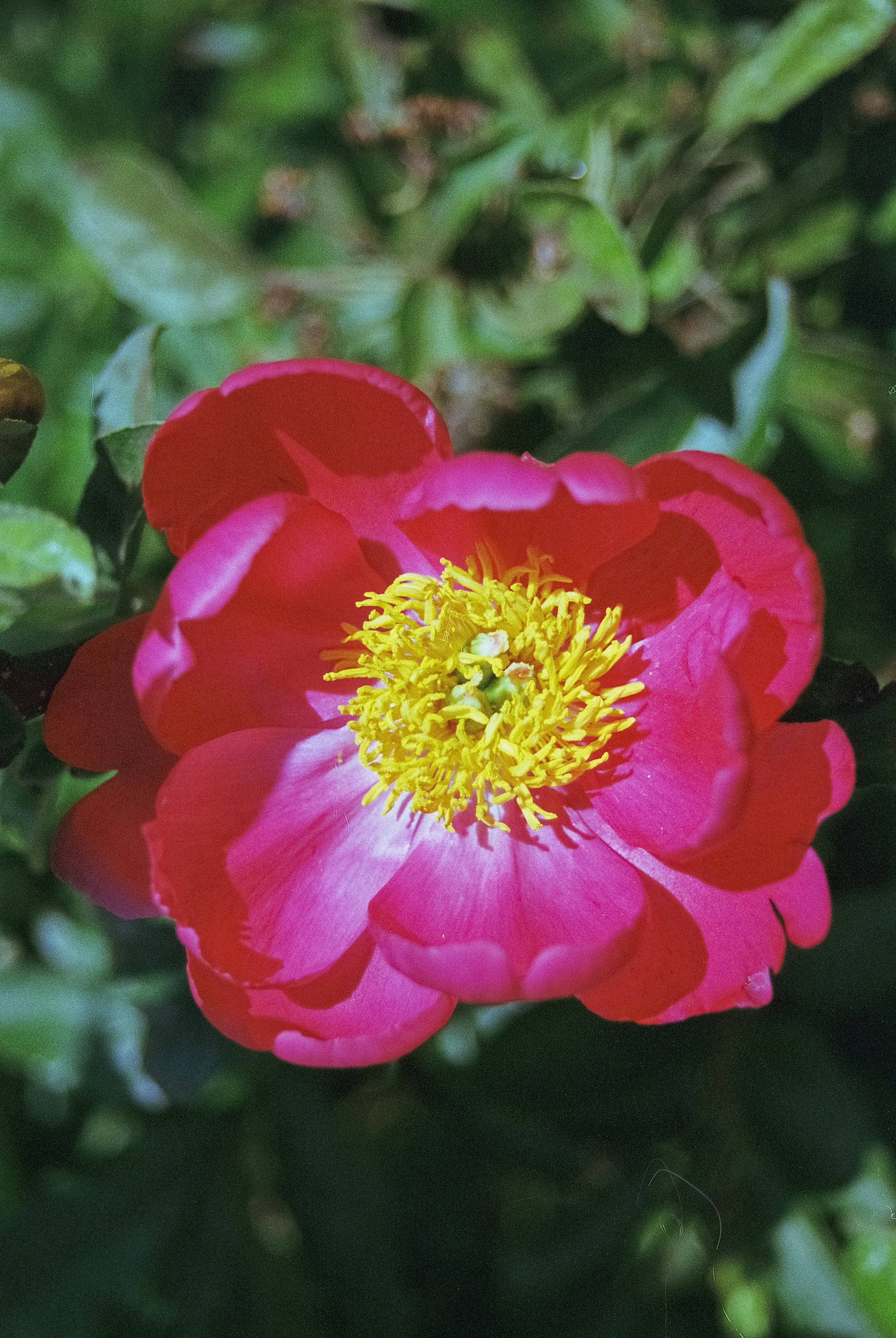 Photo by artistseyes