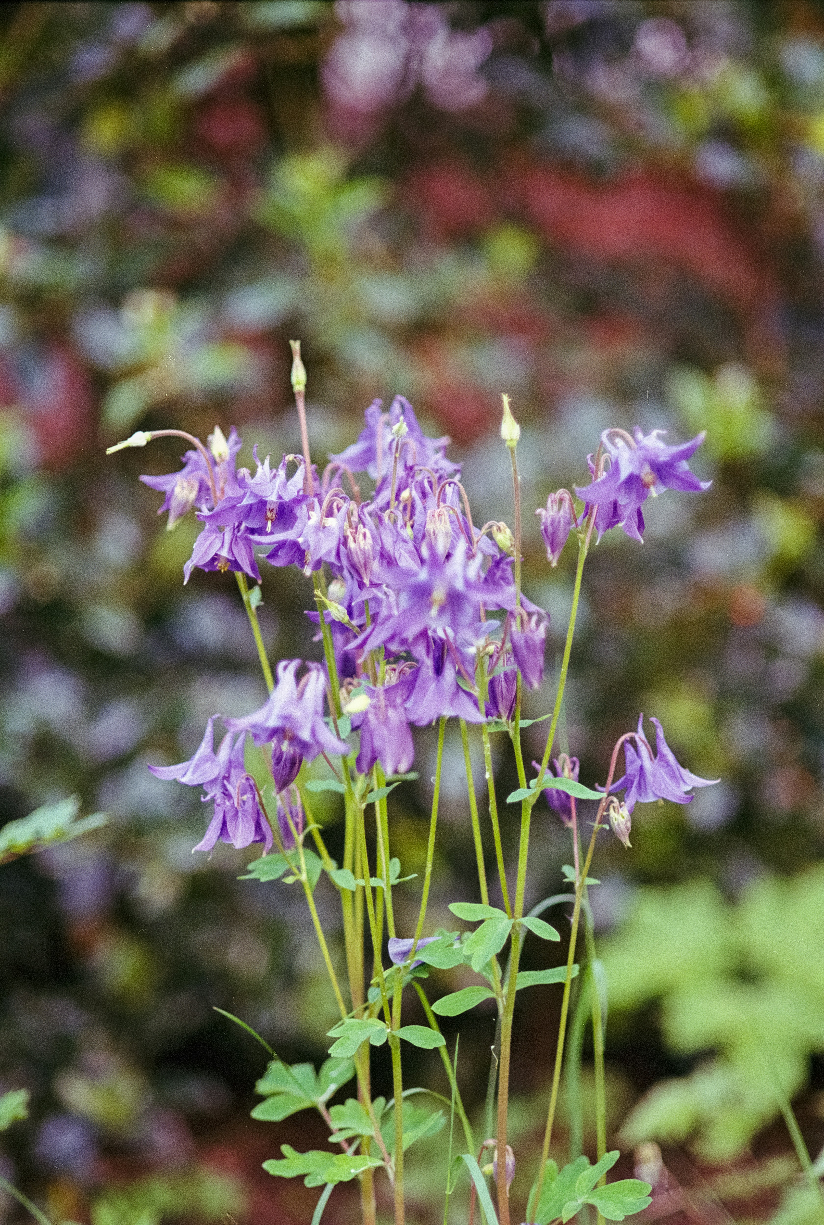 Photo by artistseyes