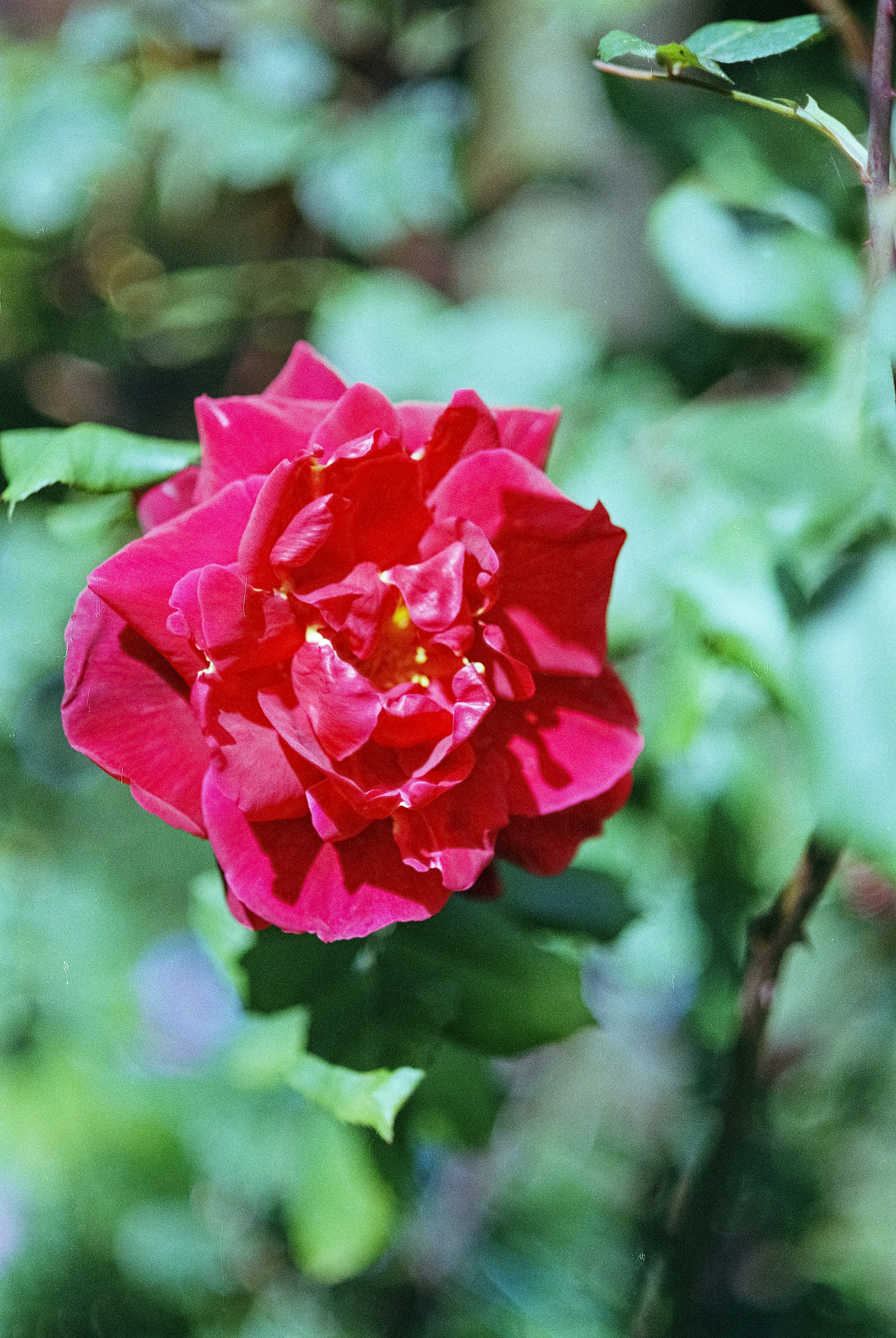 Photo by artistseyes