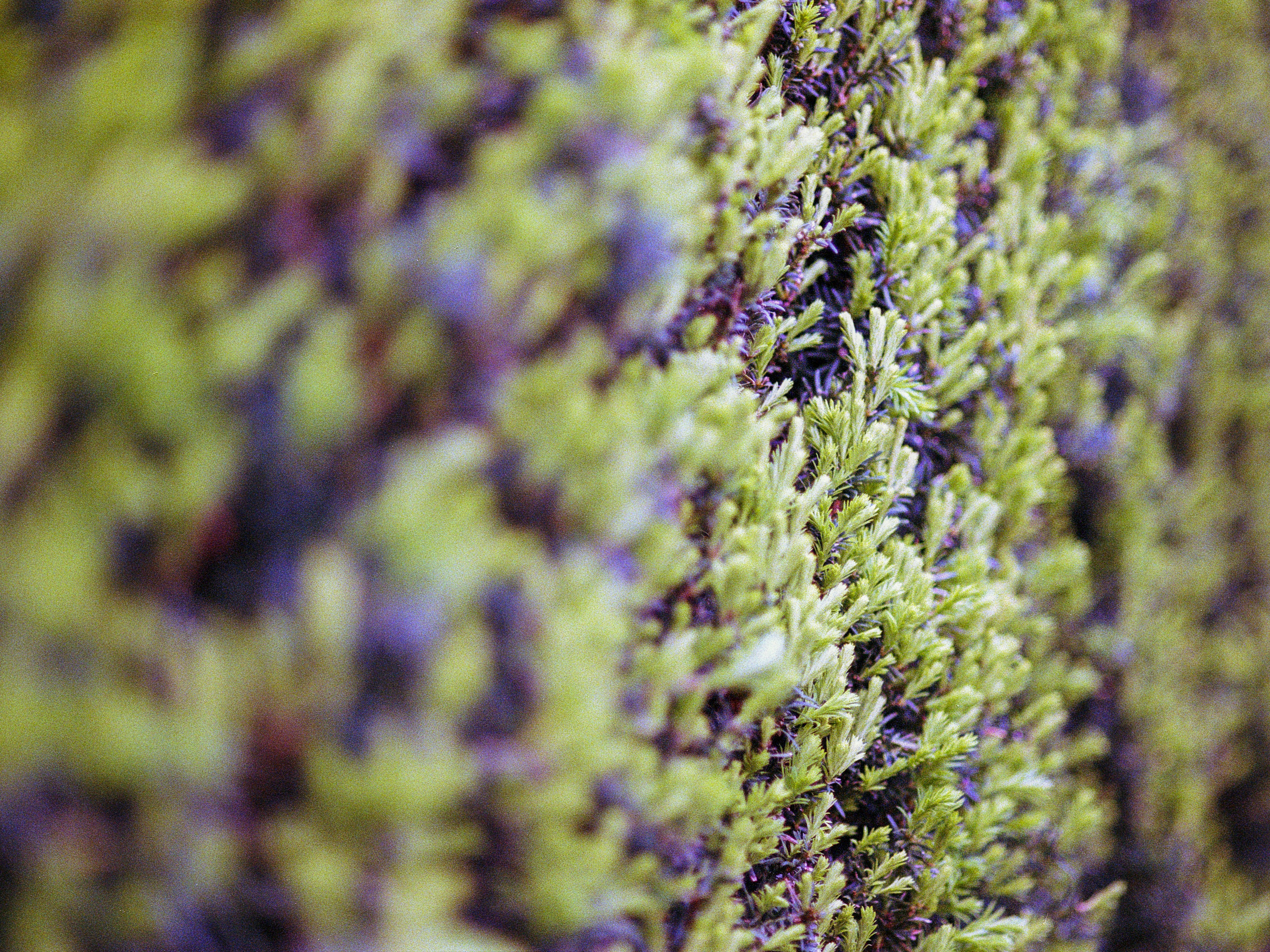 Photo by artistseyes