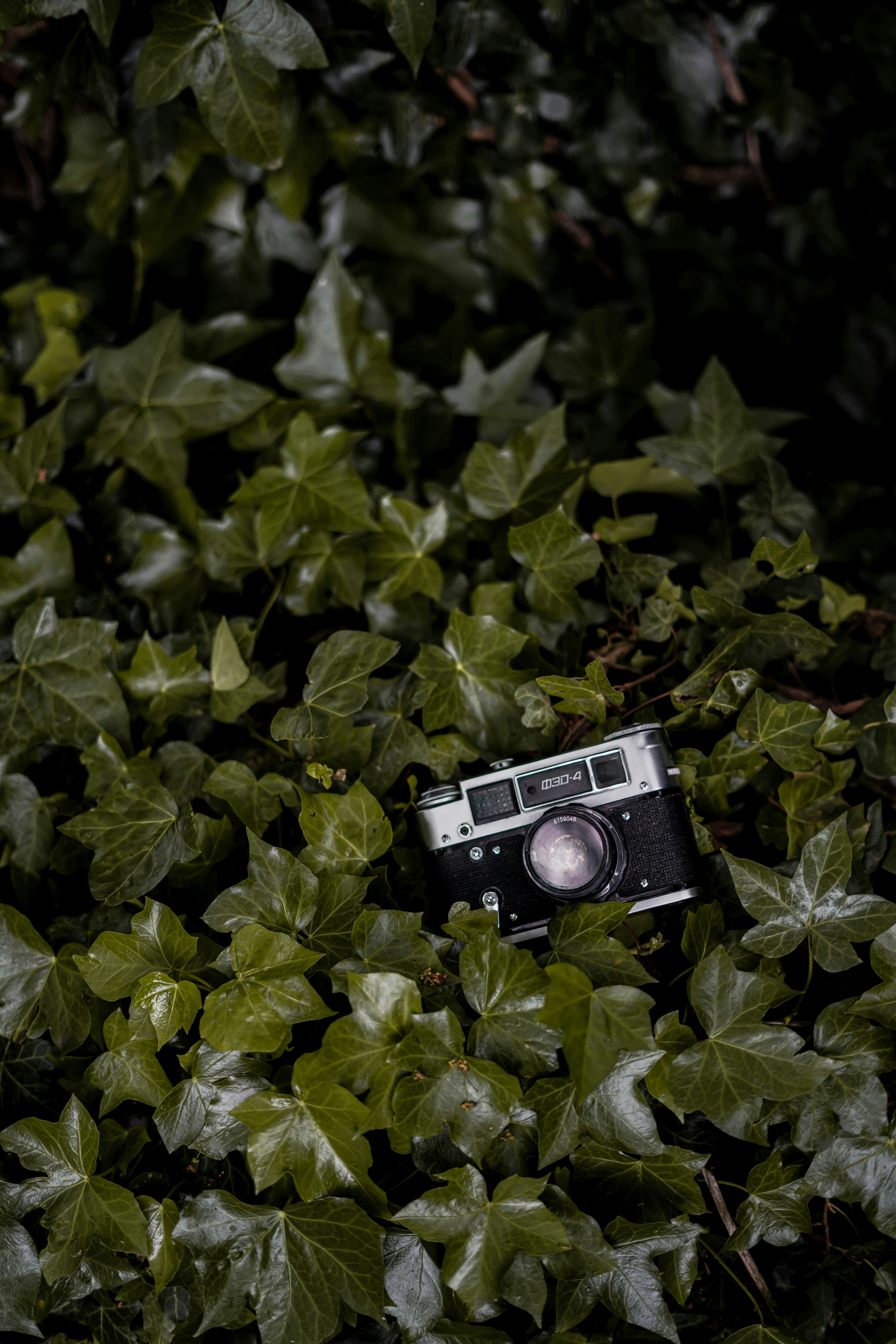 Sustainable Photography: Eco-Friendly Gear Revolution in 2025