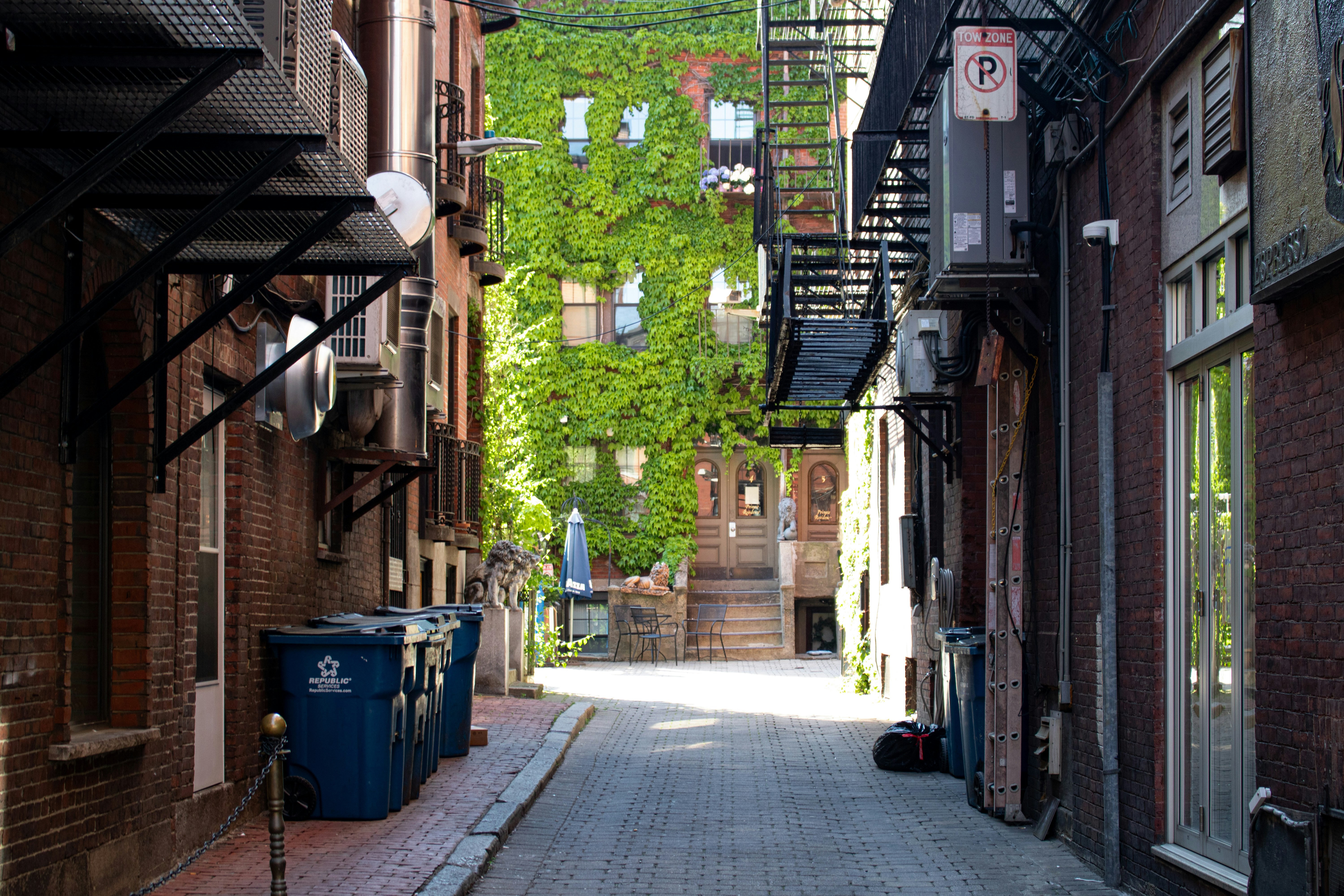 Photo by zoshuacolah