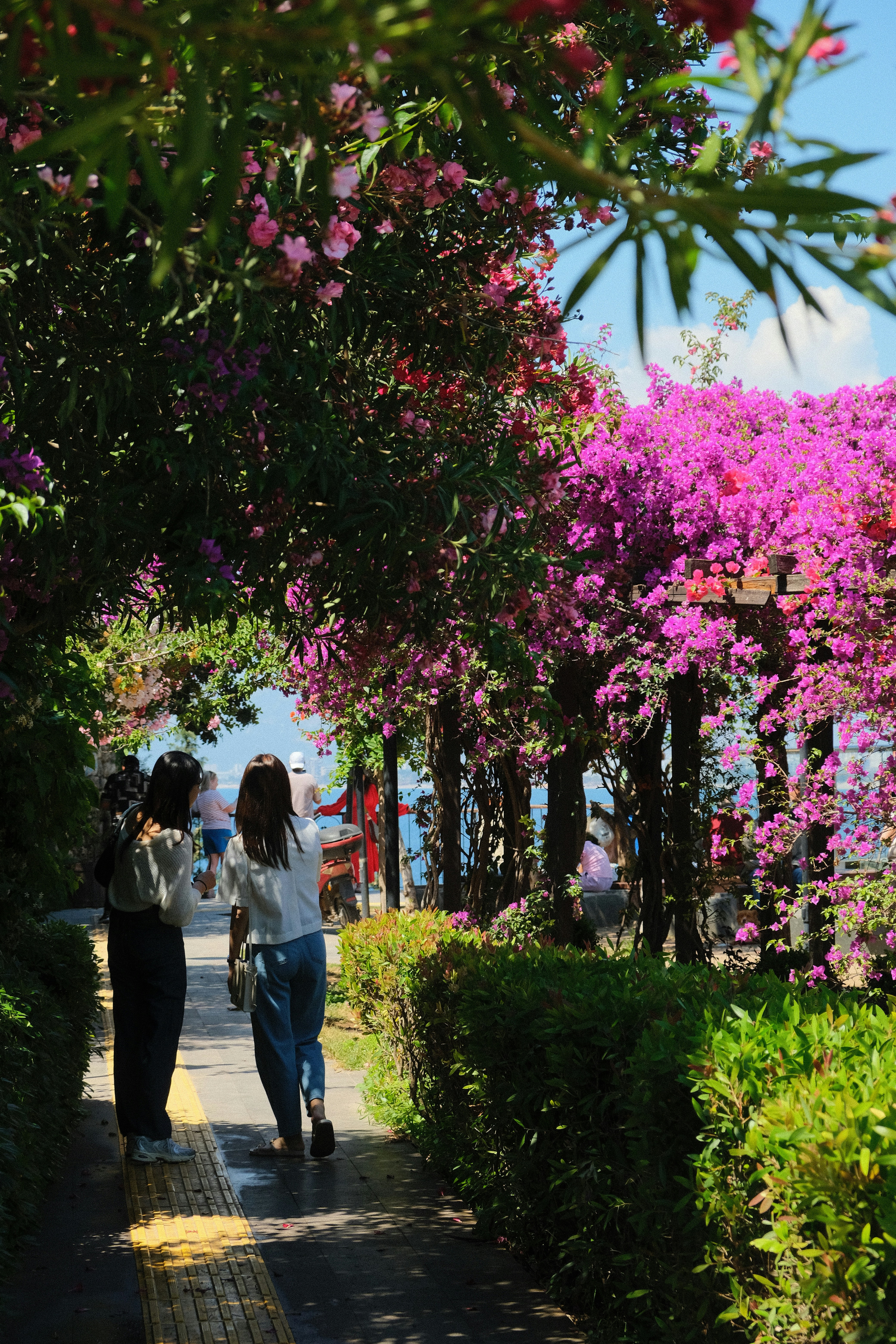 a couple of women walking down a sidewalk