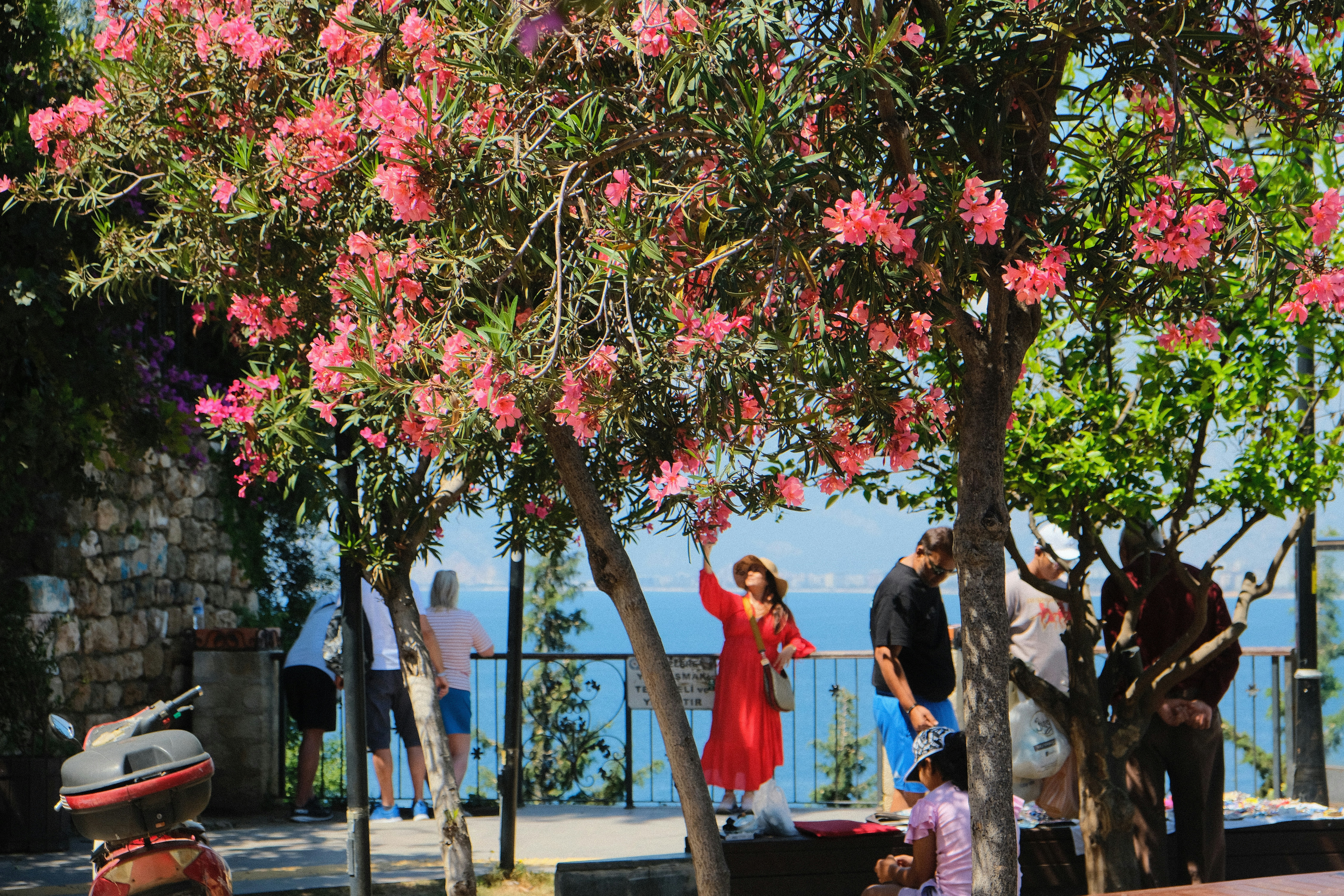 a group of people standing around a tree