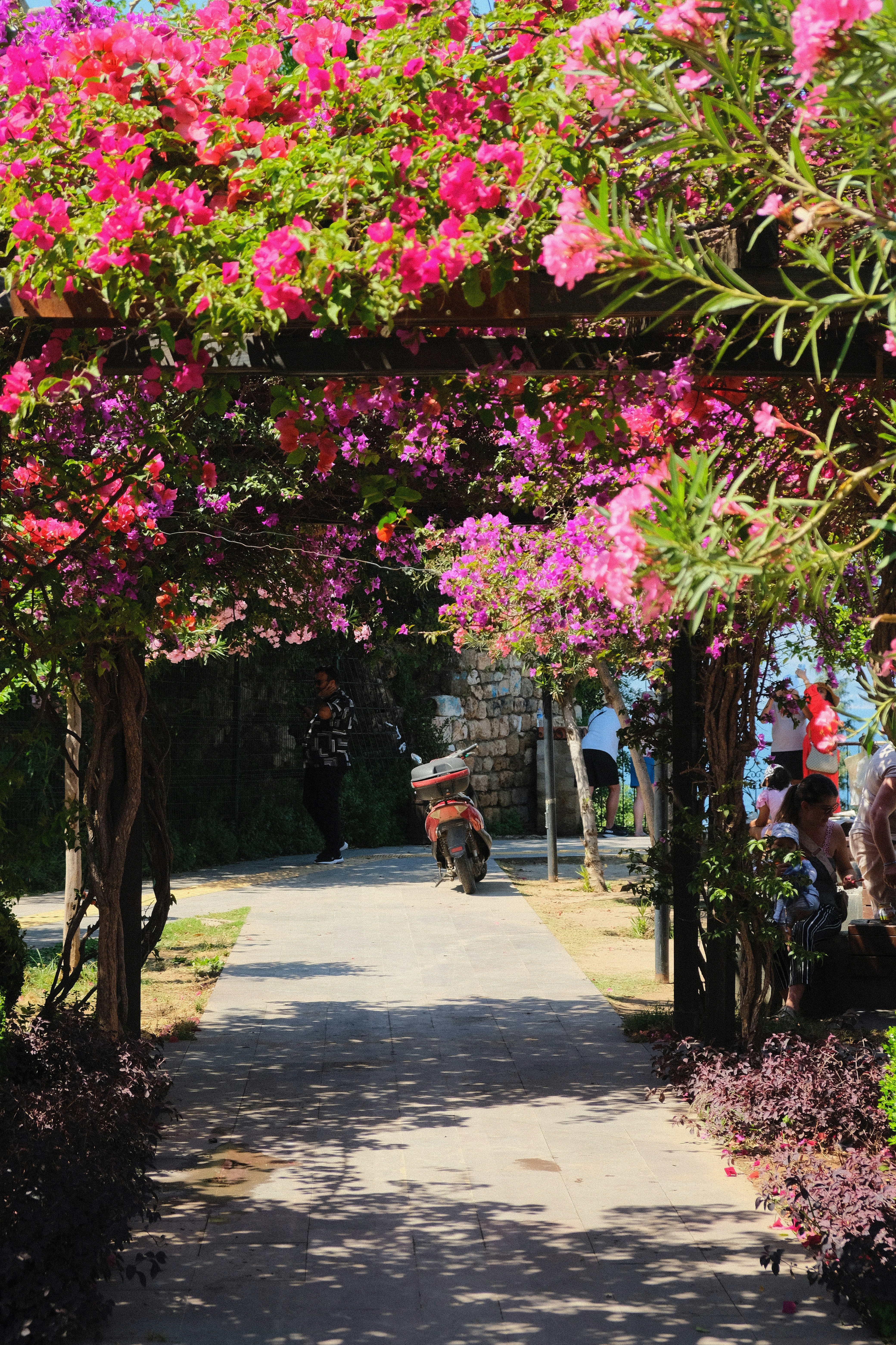 a motorcycle is parked under a canopy of flowers