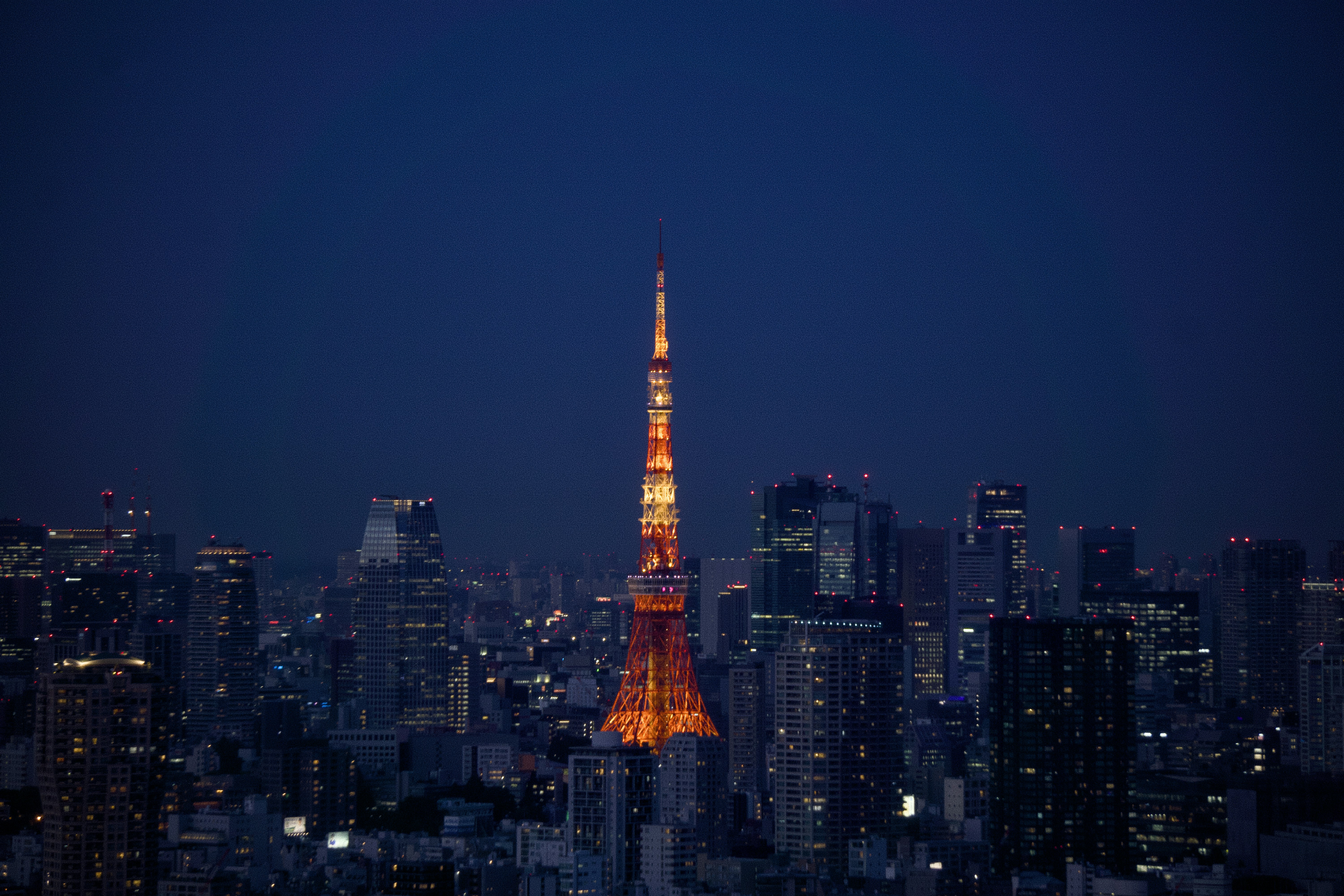 صورة المعرض