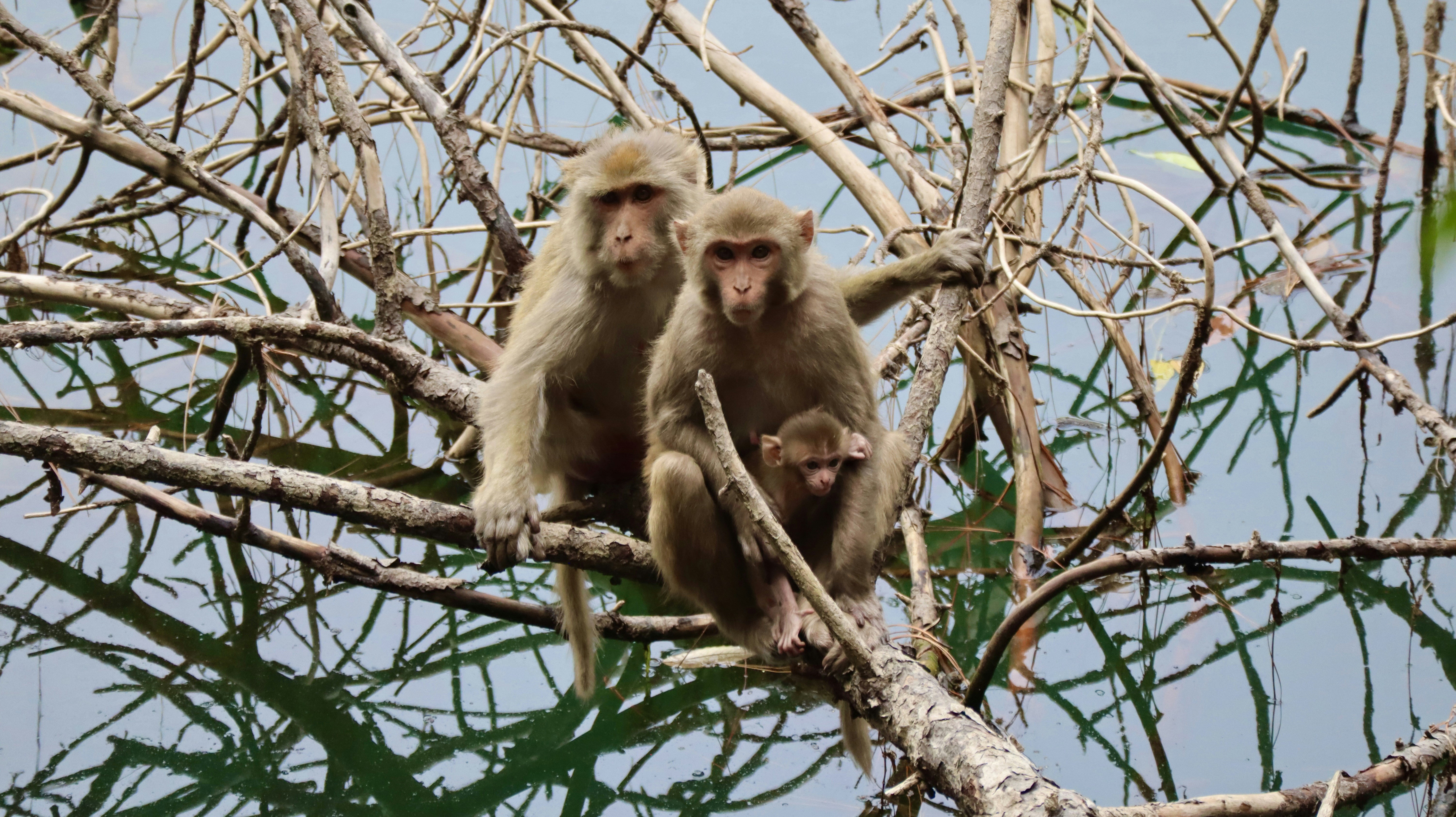 Photo by vineet_pathak