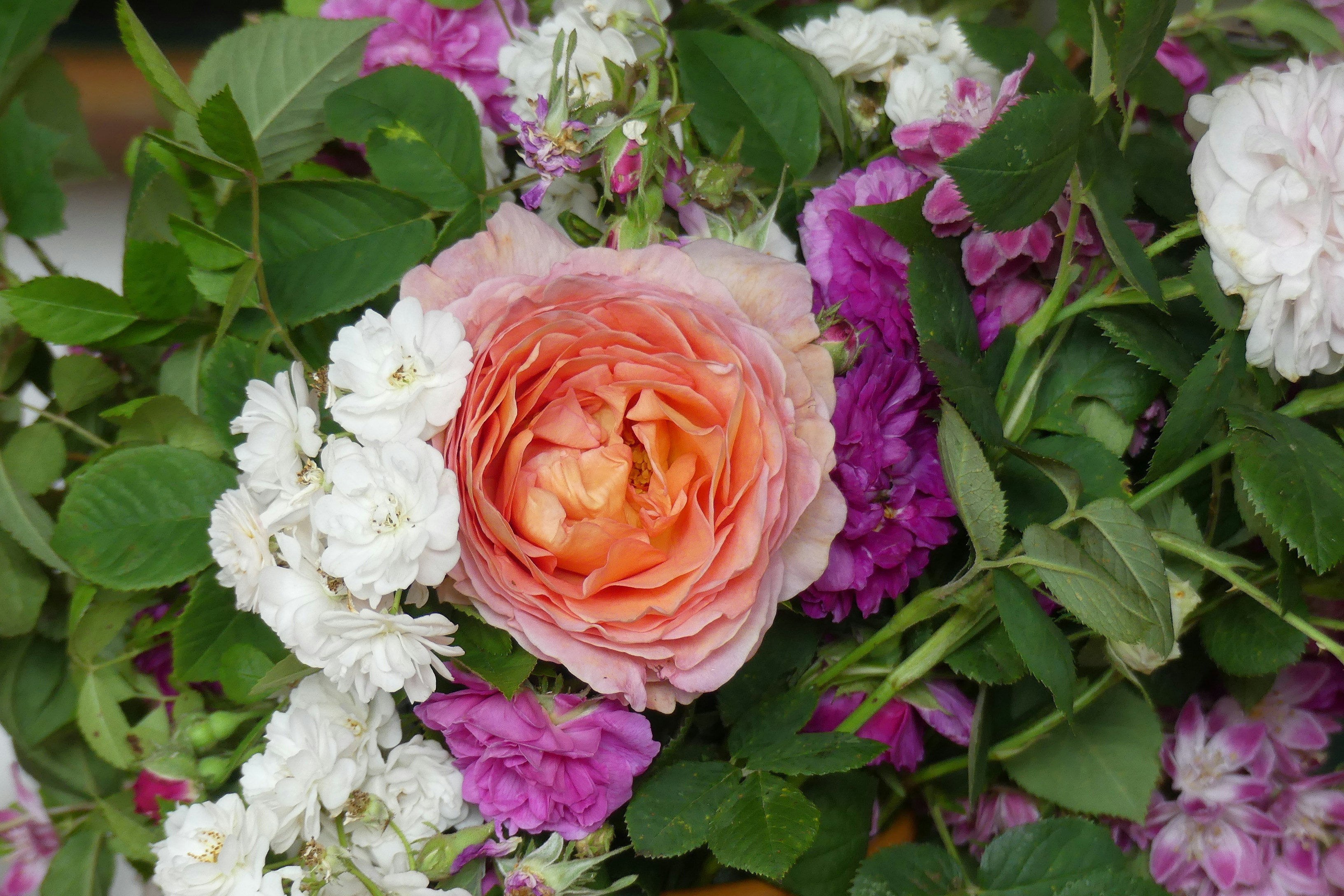 a close up of a bouquet of flowers