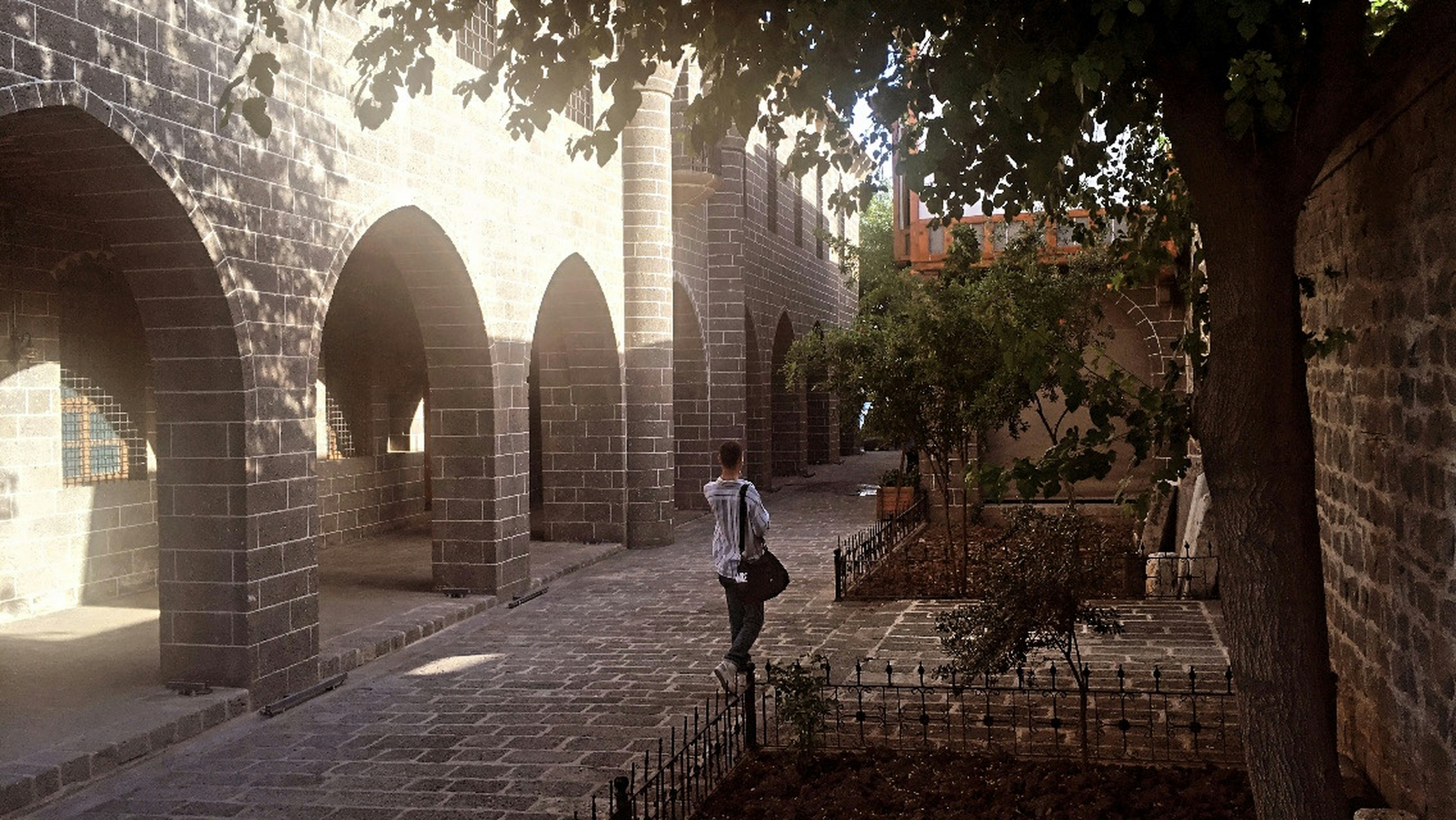 a man walking down a brick walkway next to a tree