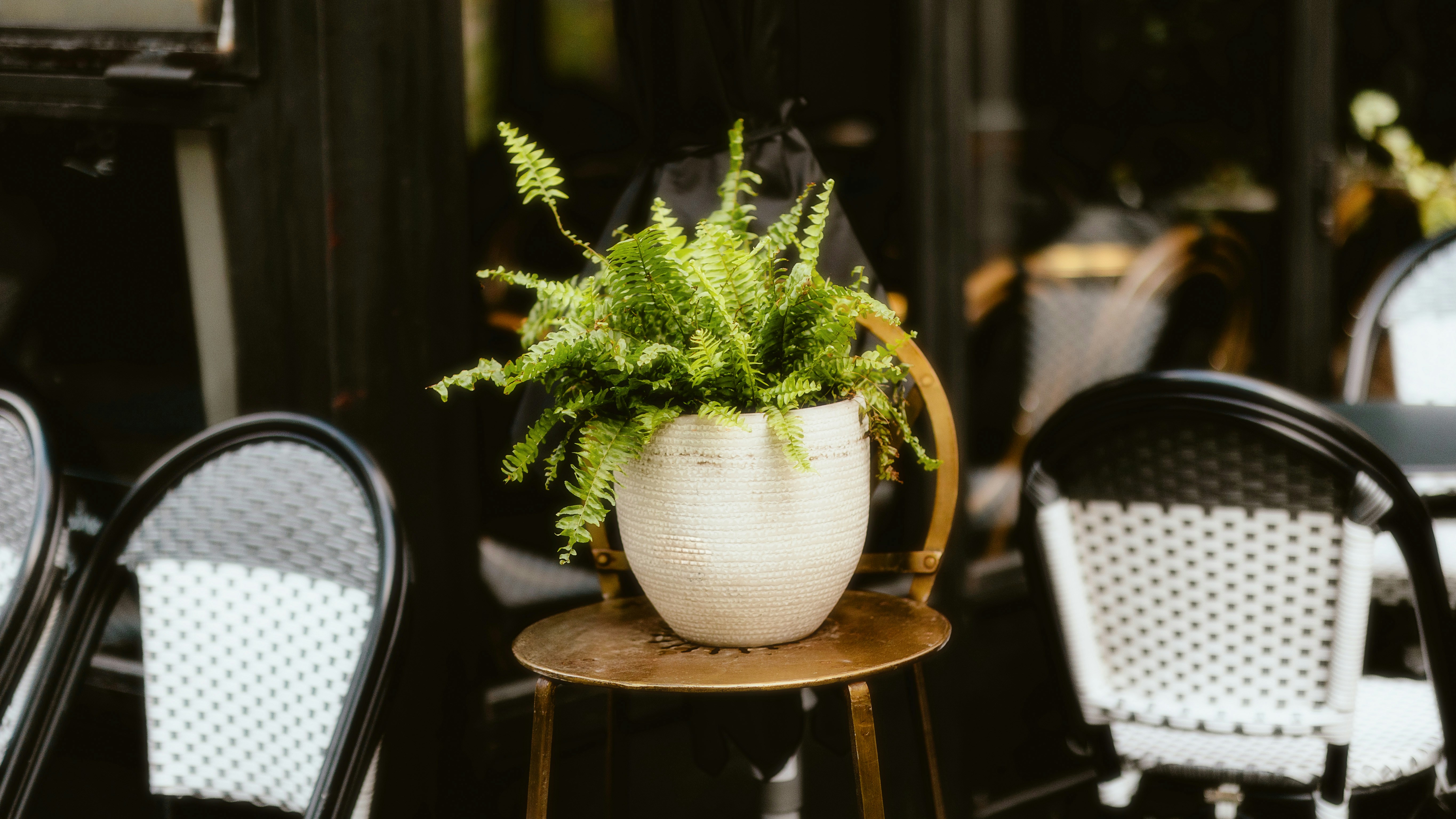 Photo by alingavriliuc