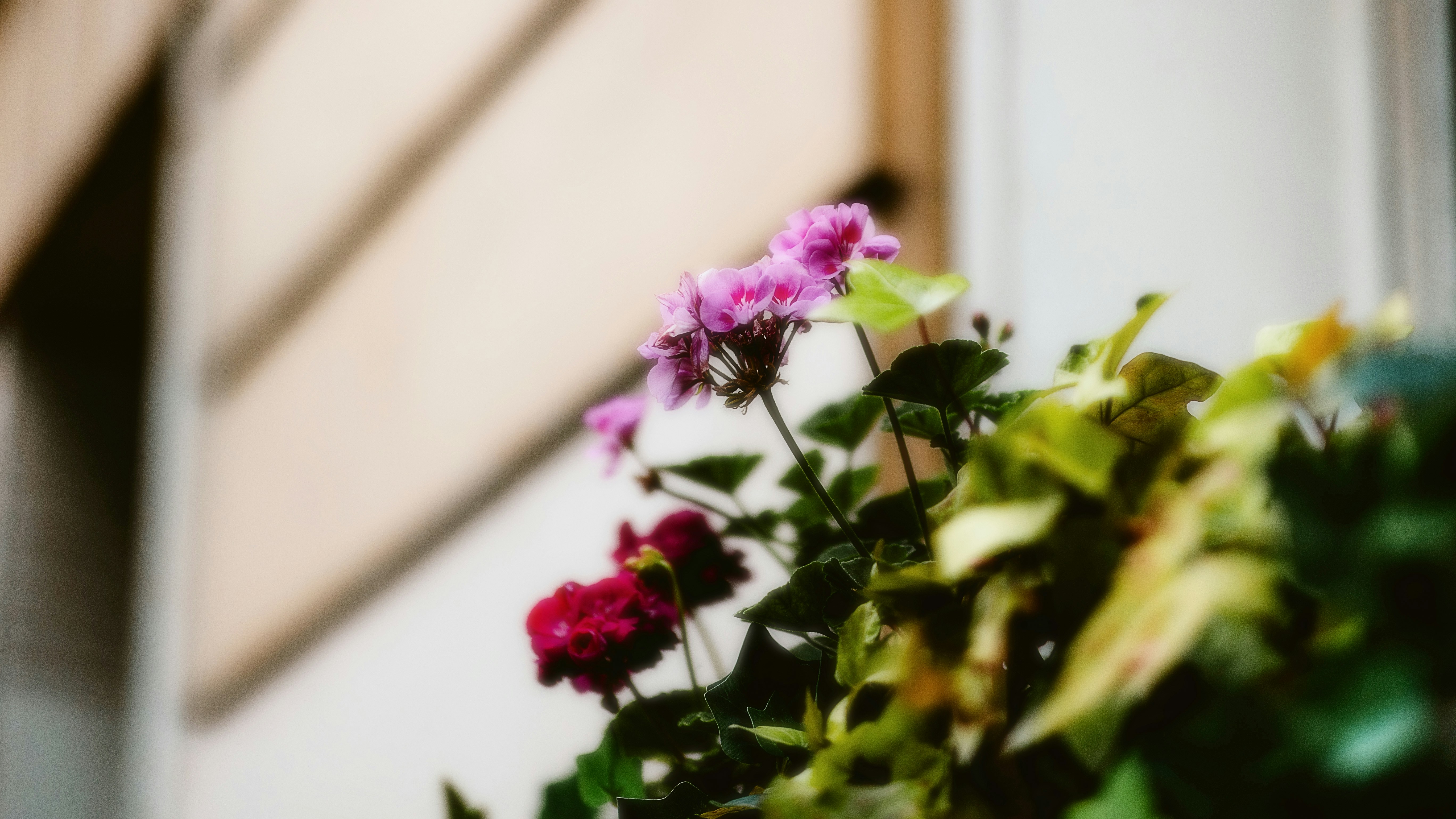 Photo by alingavriliuc