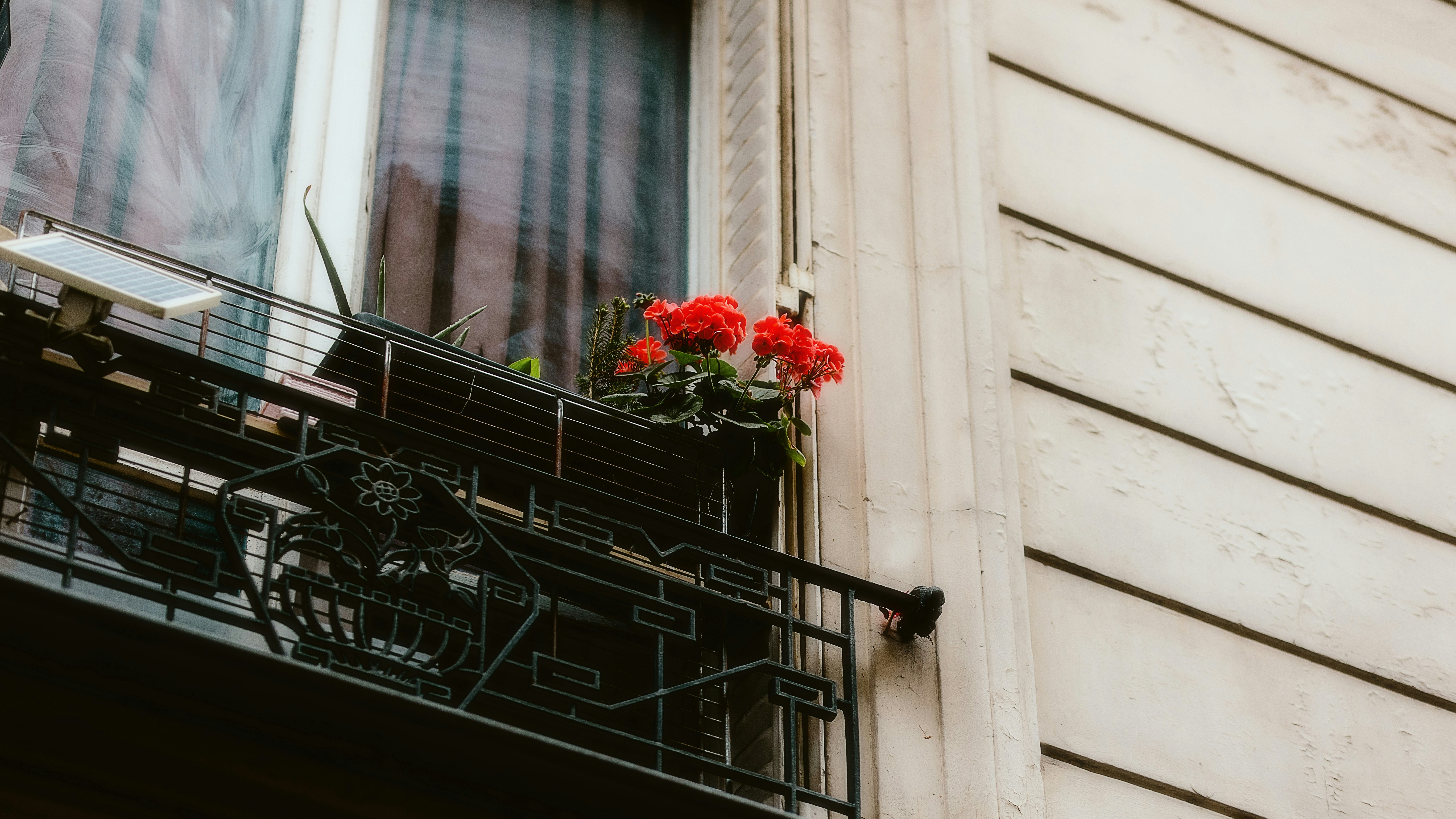 Photo by alingavriliuc