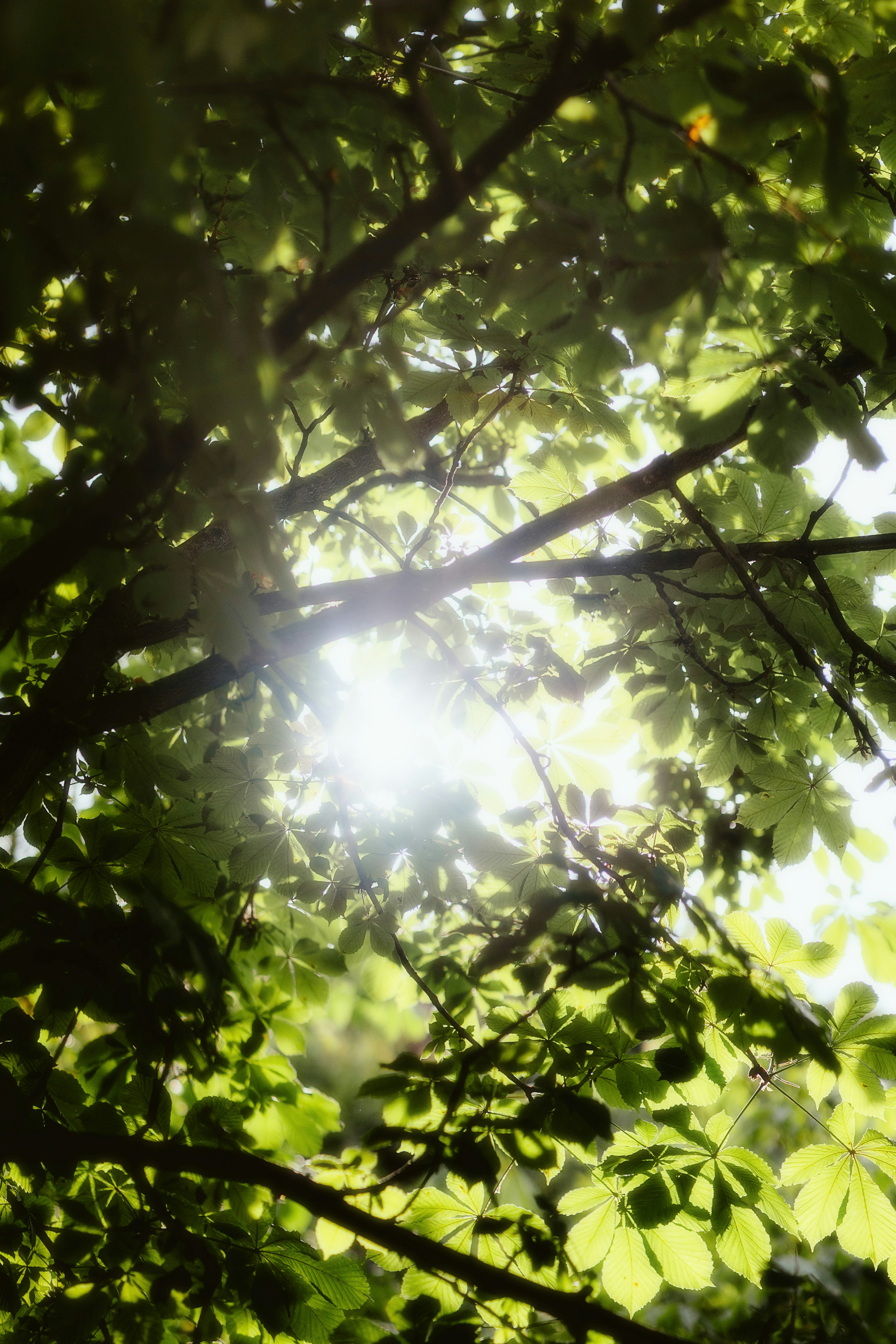 Photo by alingavriliuc