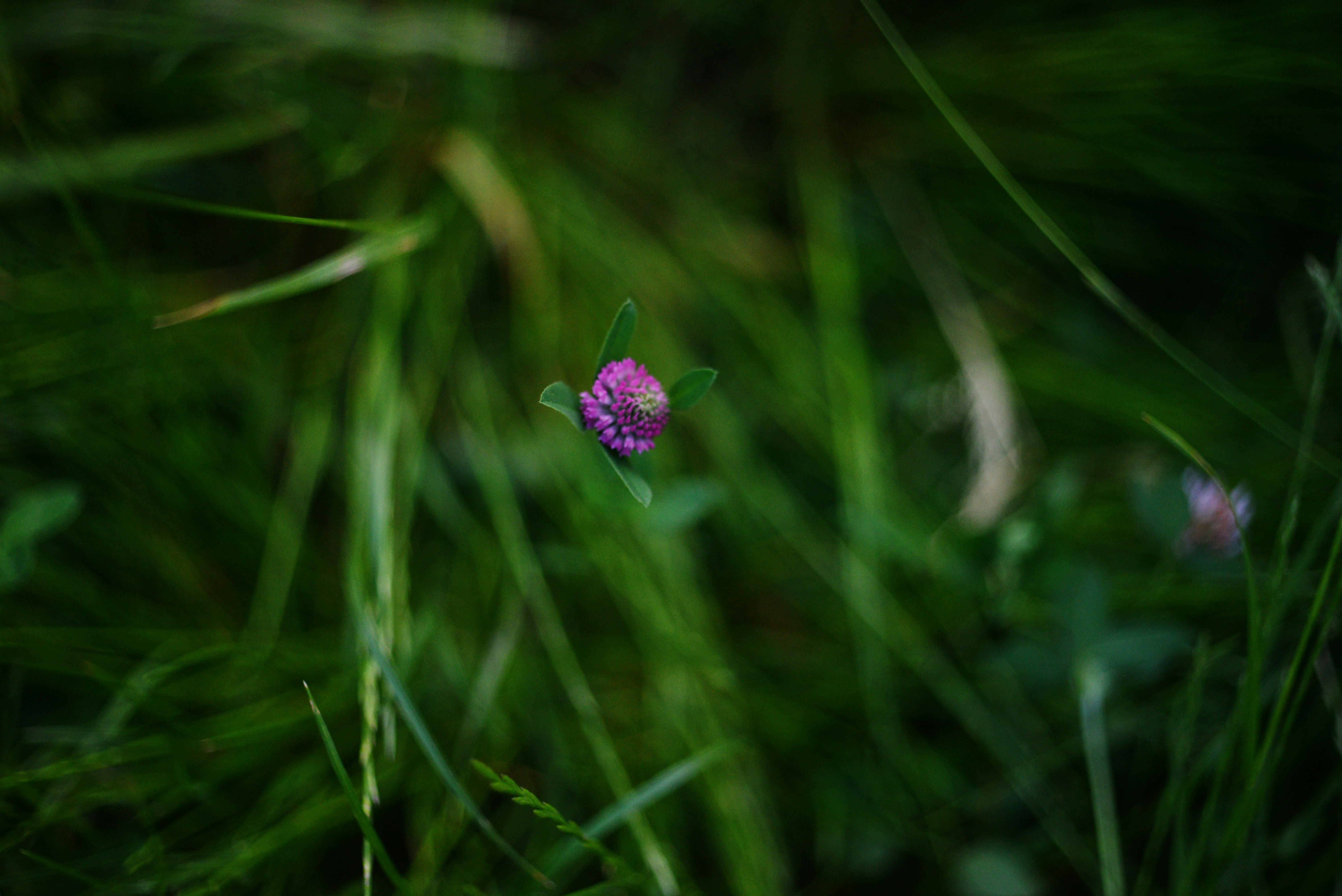 Photo by cherstve_pechivo